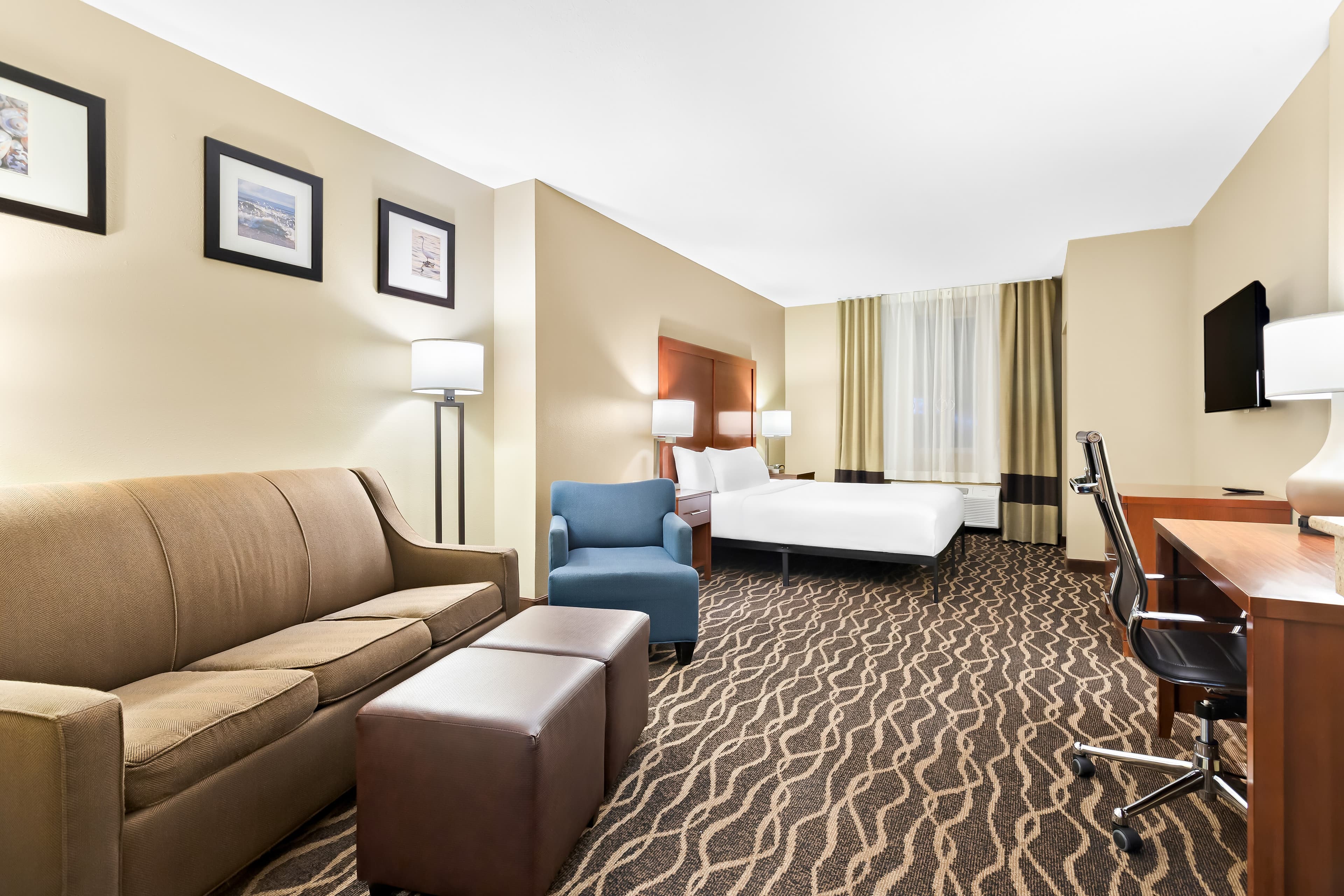 Comfort Suites Tampa Airport North — 6