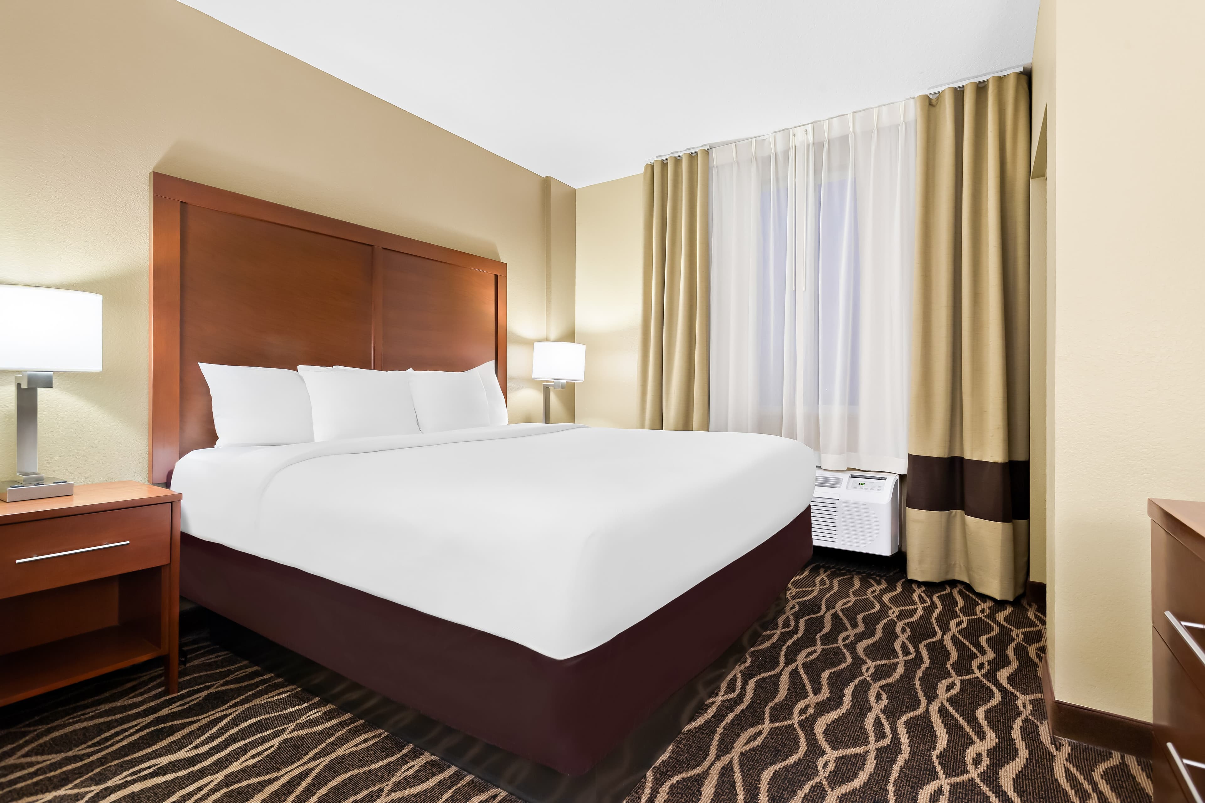 Comfort Suites Tampa Airport North — 15