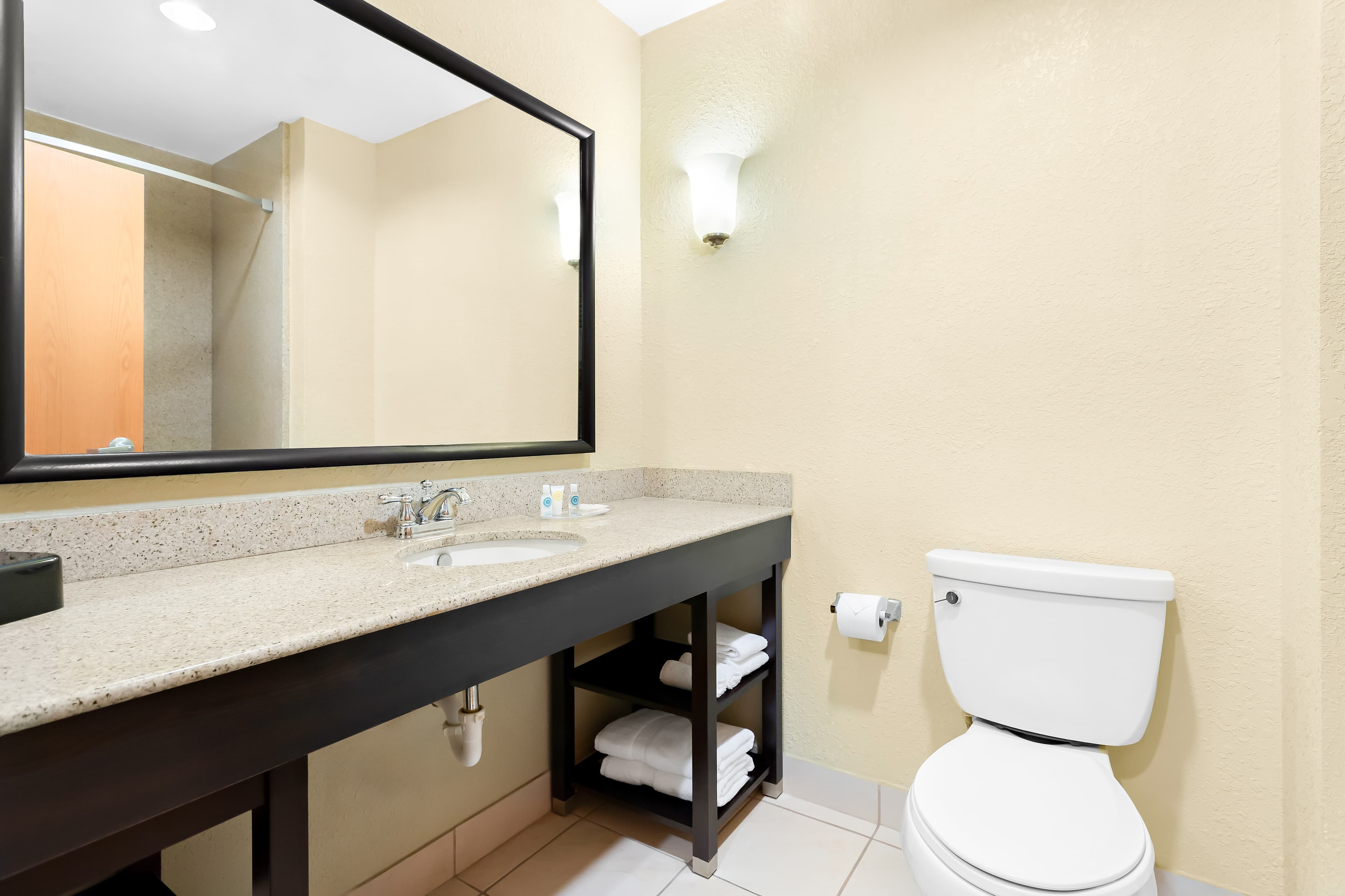 Comfort Suites Tampa Airport North — 20