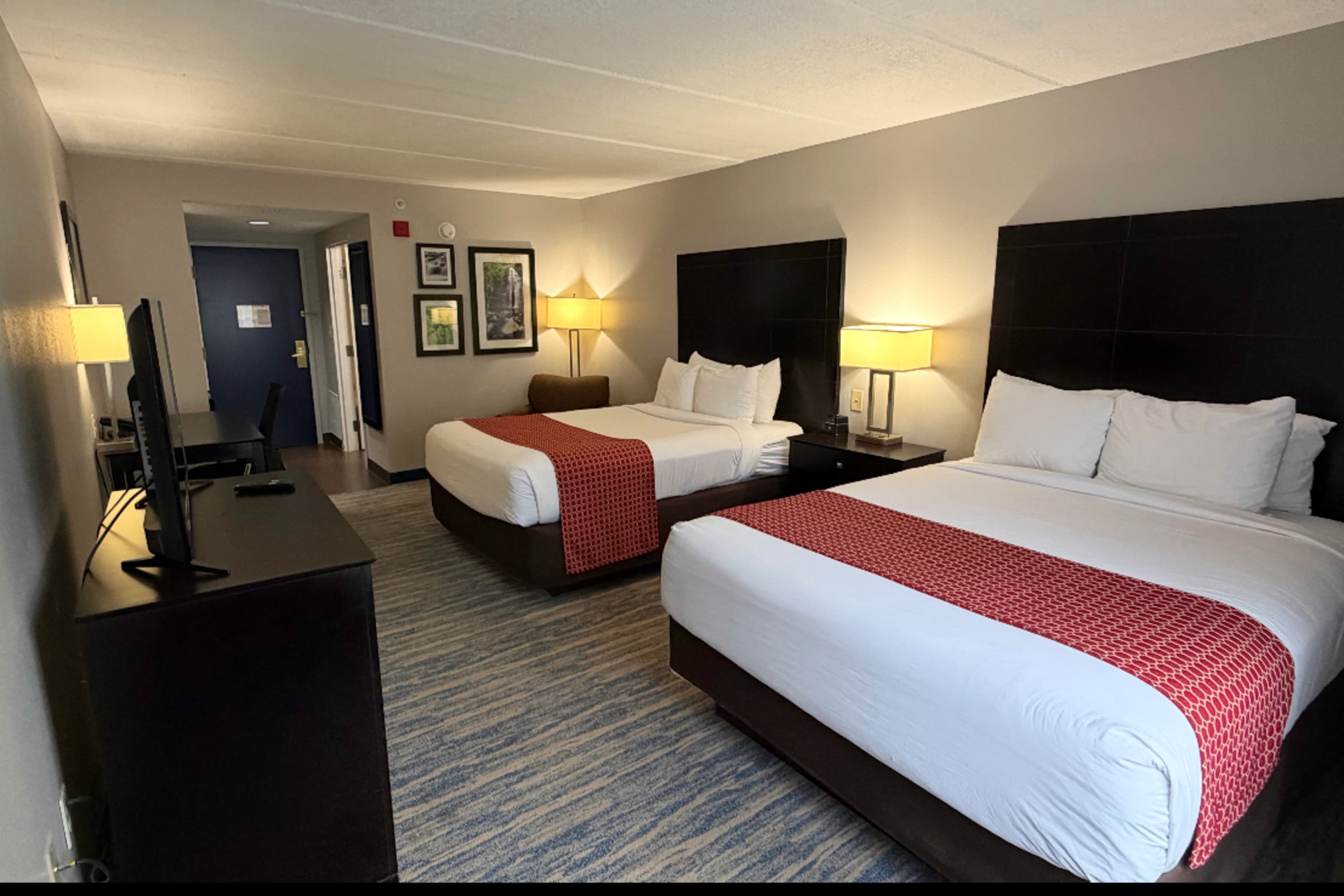 Comfort Inn & Suites Tampa North I-75 - Image 3