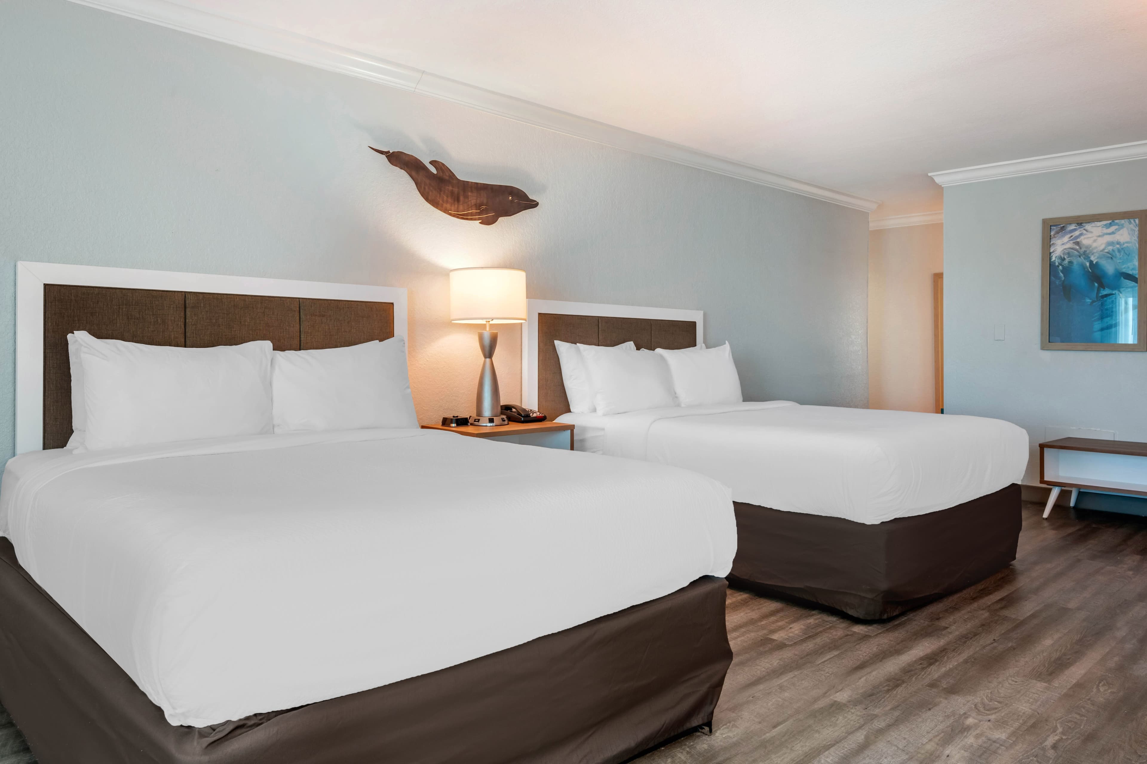 Dolphin Sands Clearwater Beach, an Ascend Collection Hotel - Image 4