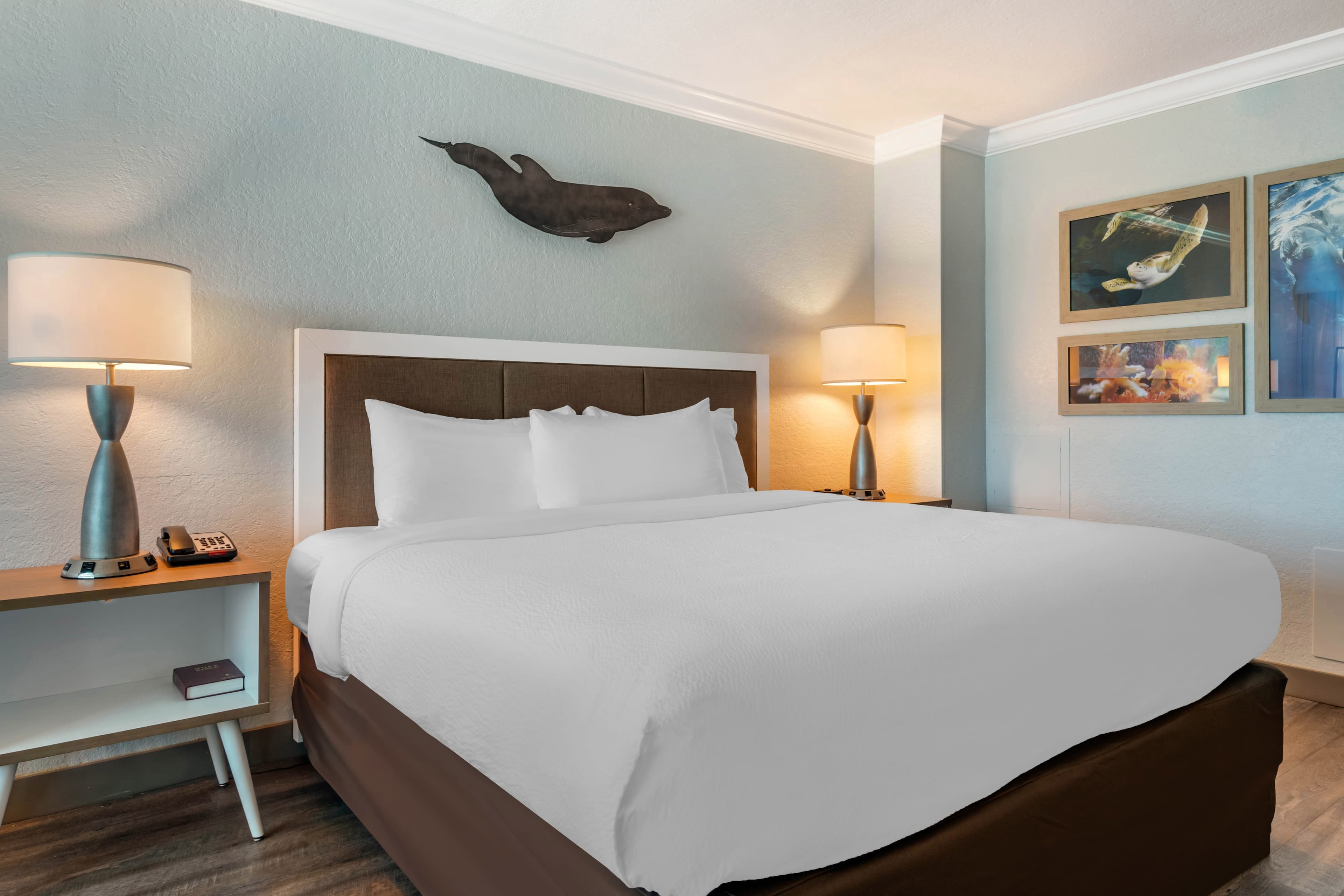 Dolphin Sands Clearwater Beach, an Ascend Collection Hotel — 8