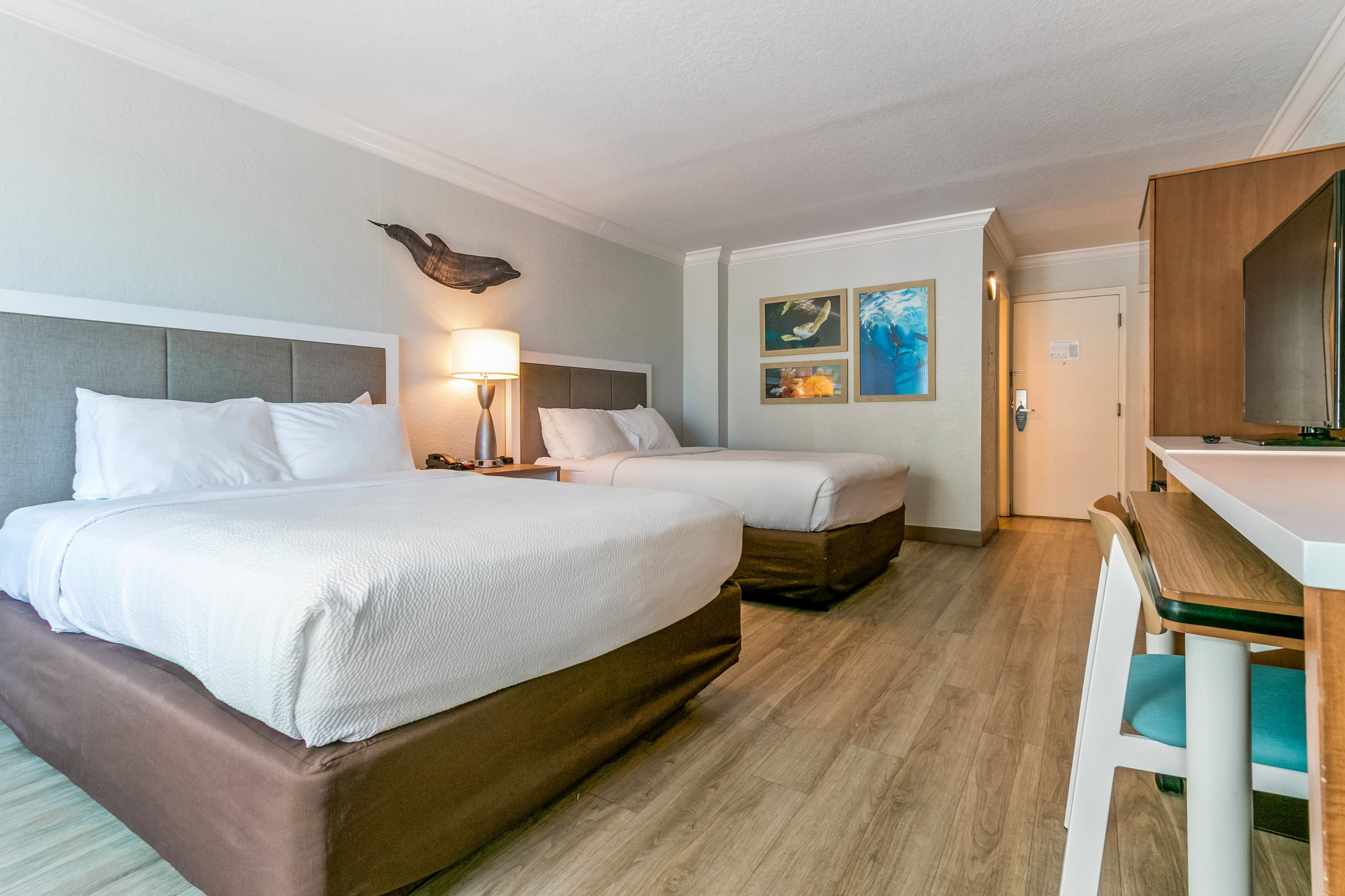 Dolphin Sands Clearwater Beach, an Ascend Collection Hotel — 17