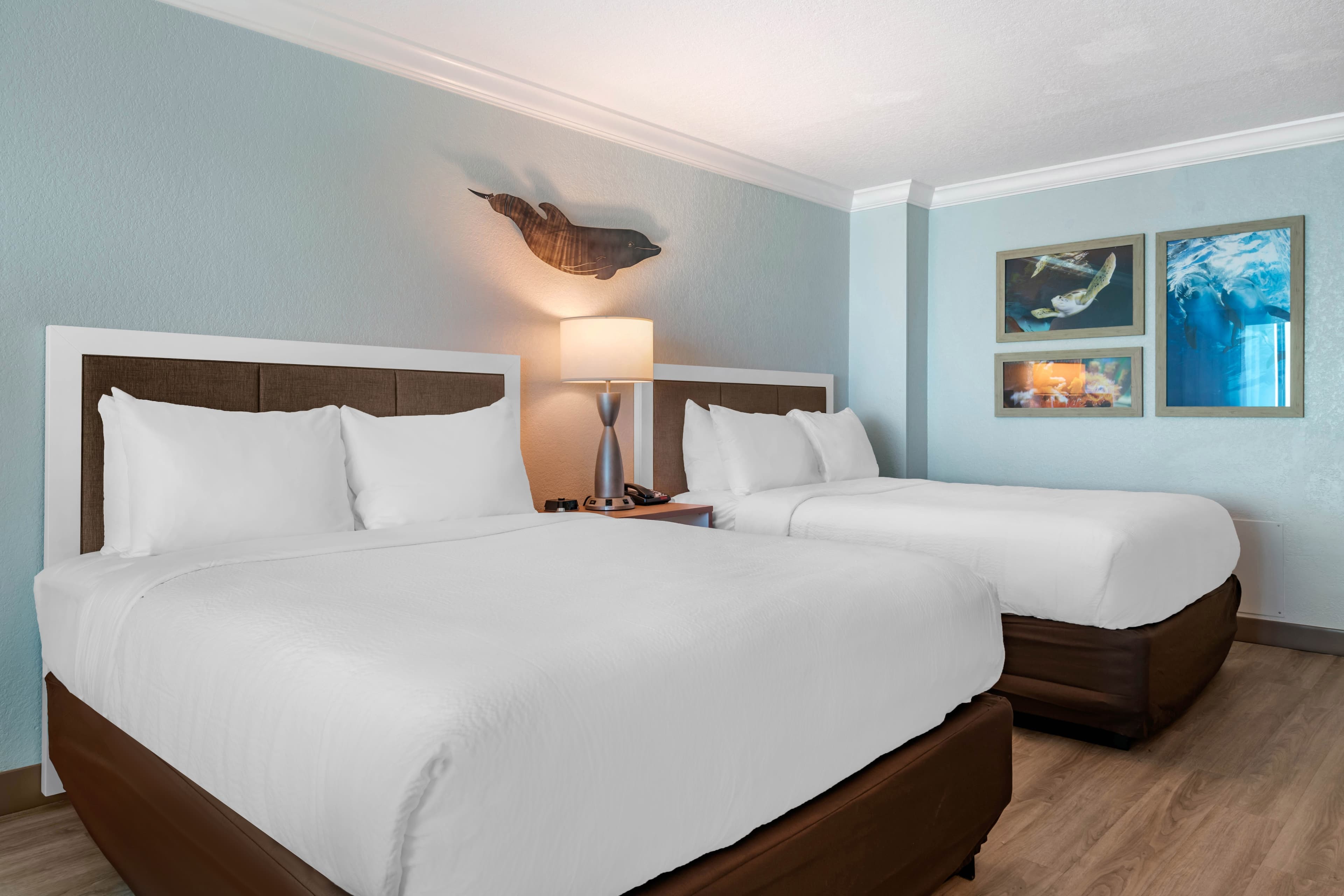 Dolphin Sands Clearwater Beach, an Ascend Collection Hotel — 13