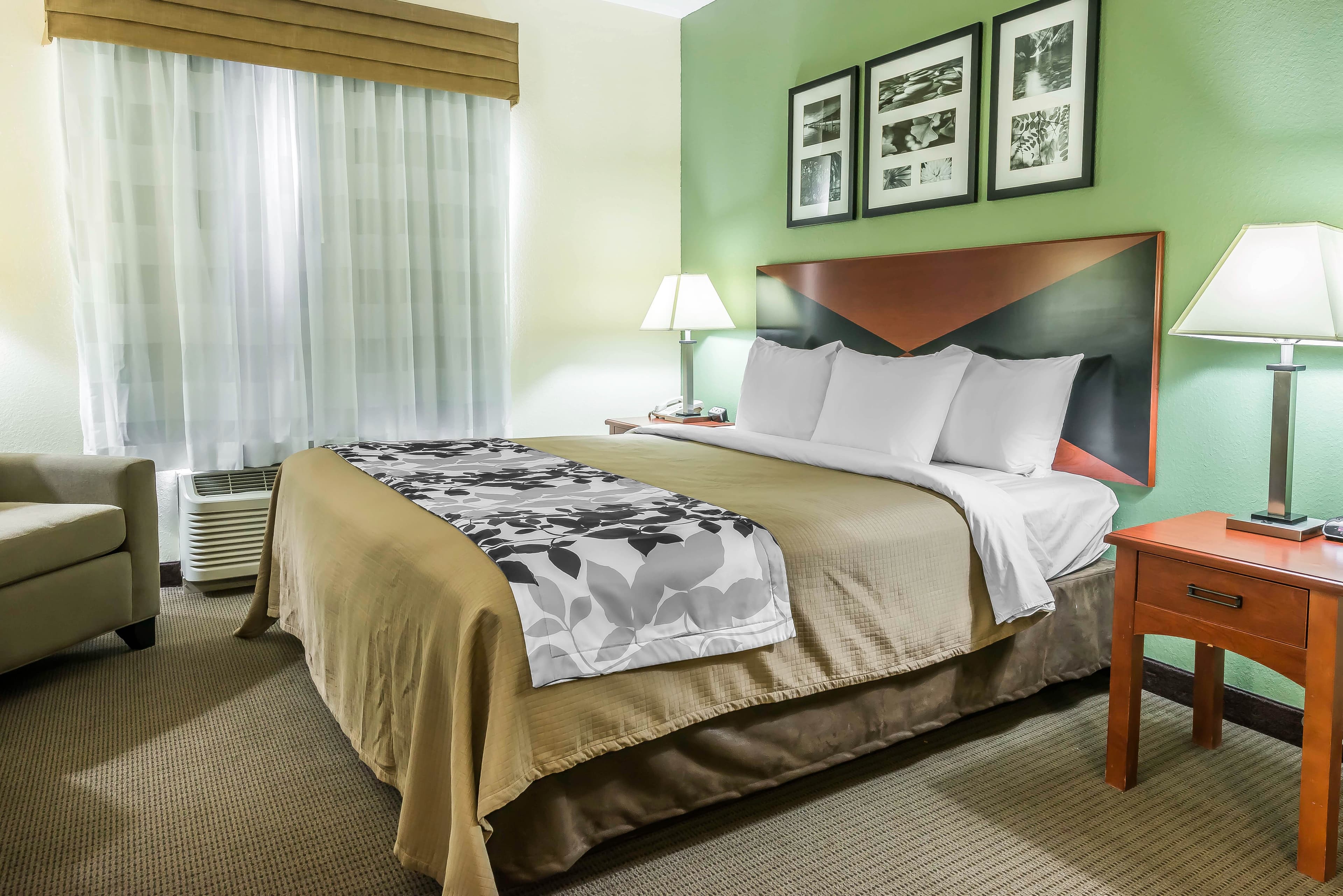 Sleep Inn & Suites University/Shands — 10
