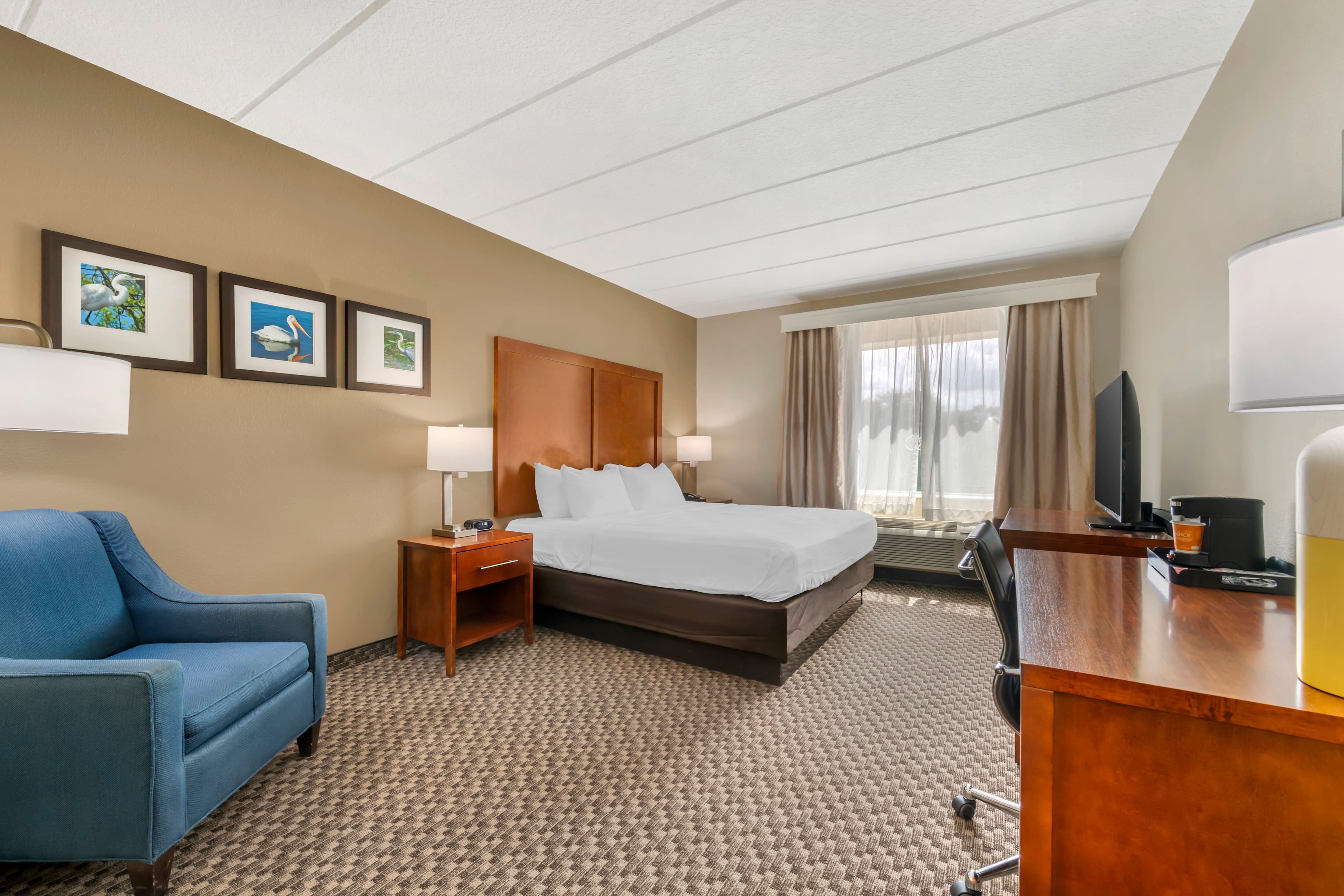Comfort Inn & Suites Wildwood - The Villages - Image 2