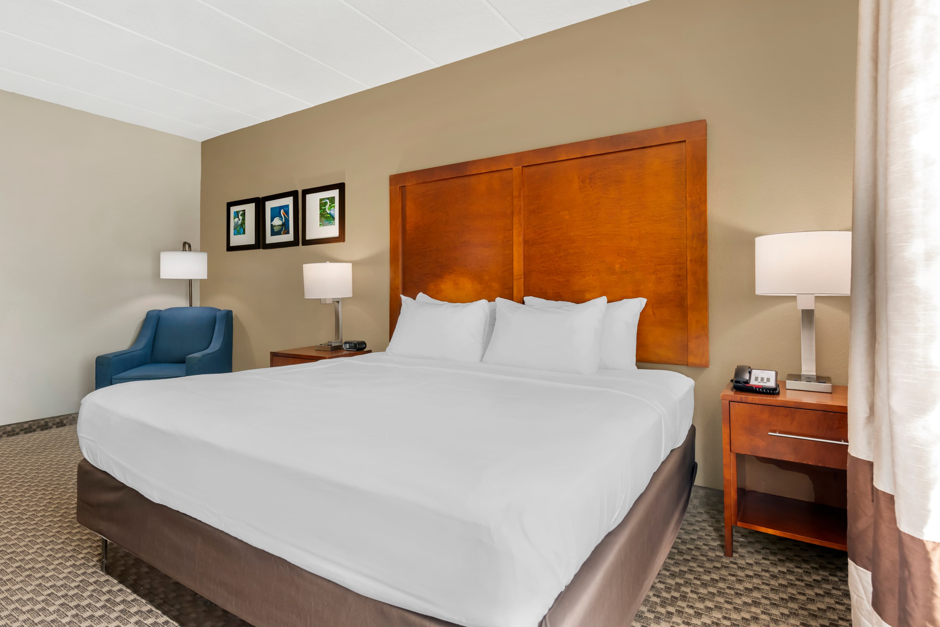 Comfort Inn & Suites Wildwood - The Villages - Image 3