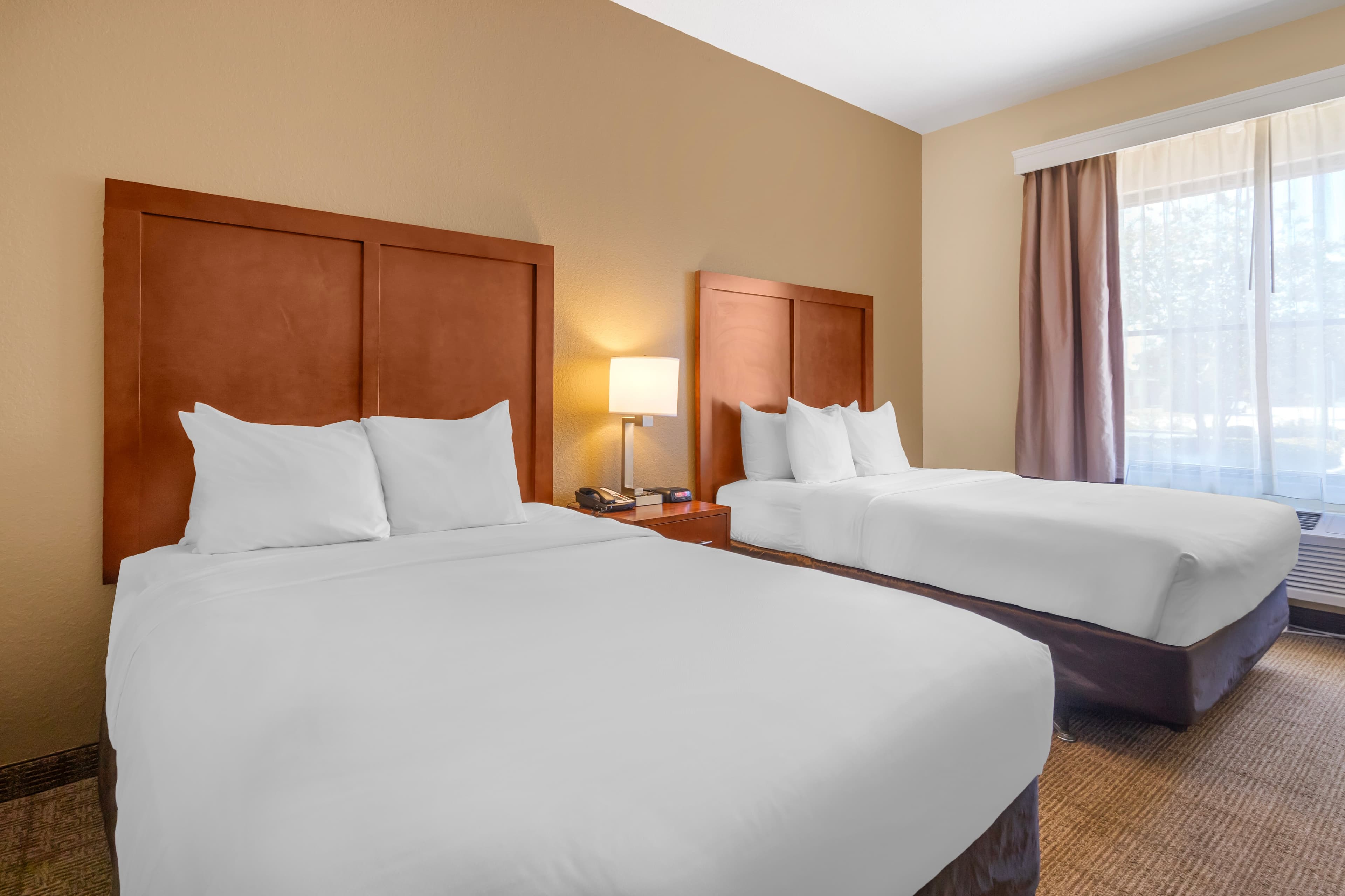 Comfort Inn & Suites Northeast - Gateway - Image 2