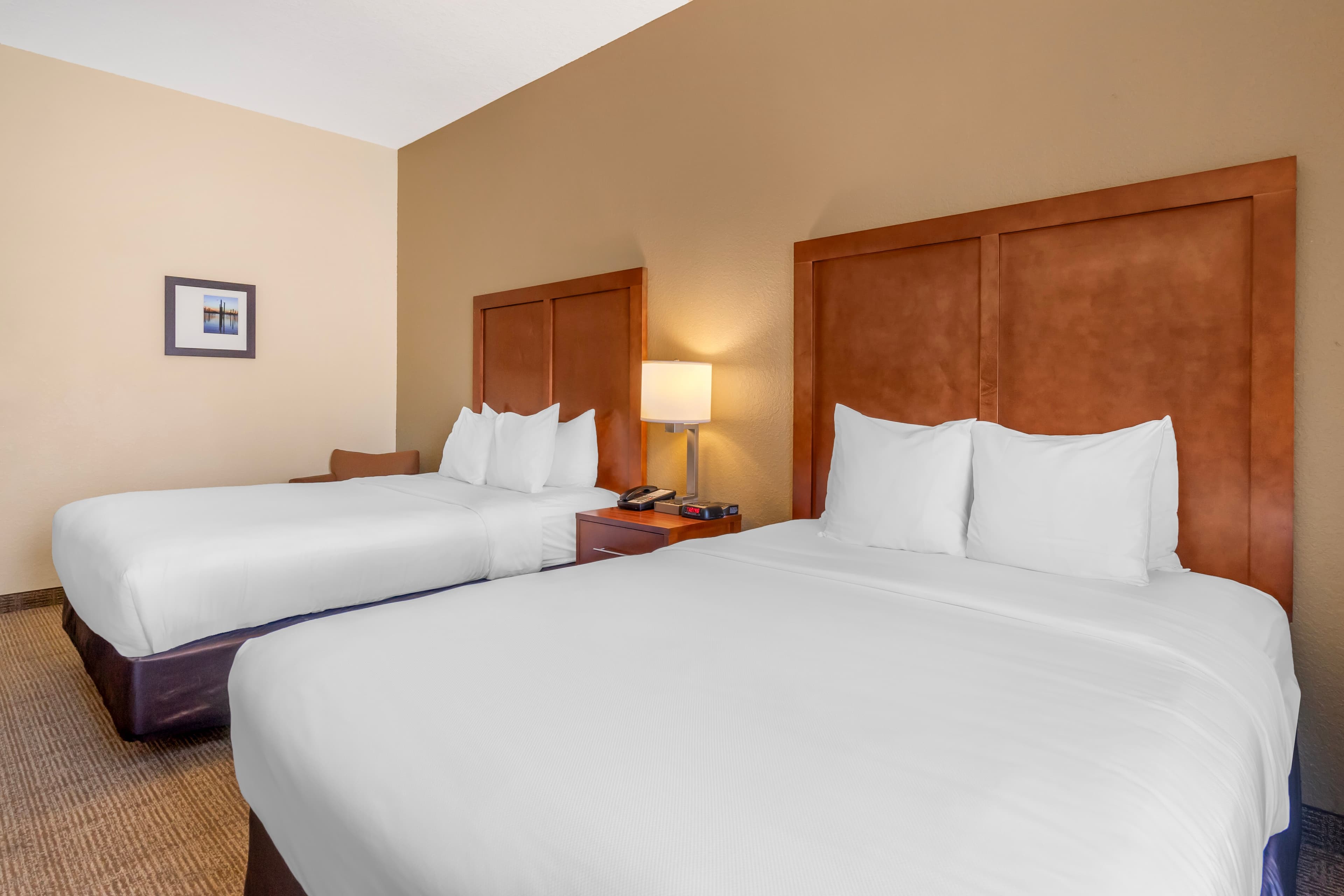 Comfort Inn & Suites Northeast - Gateway - Image 4