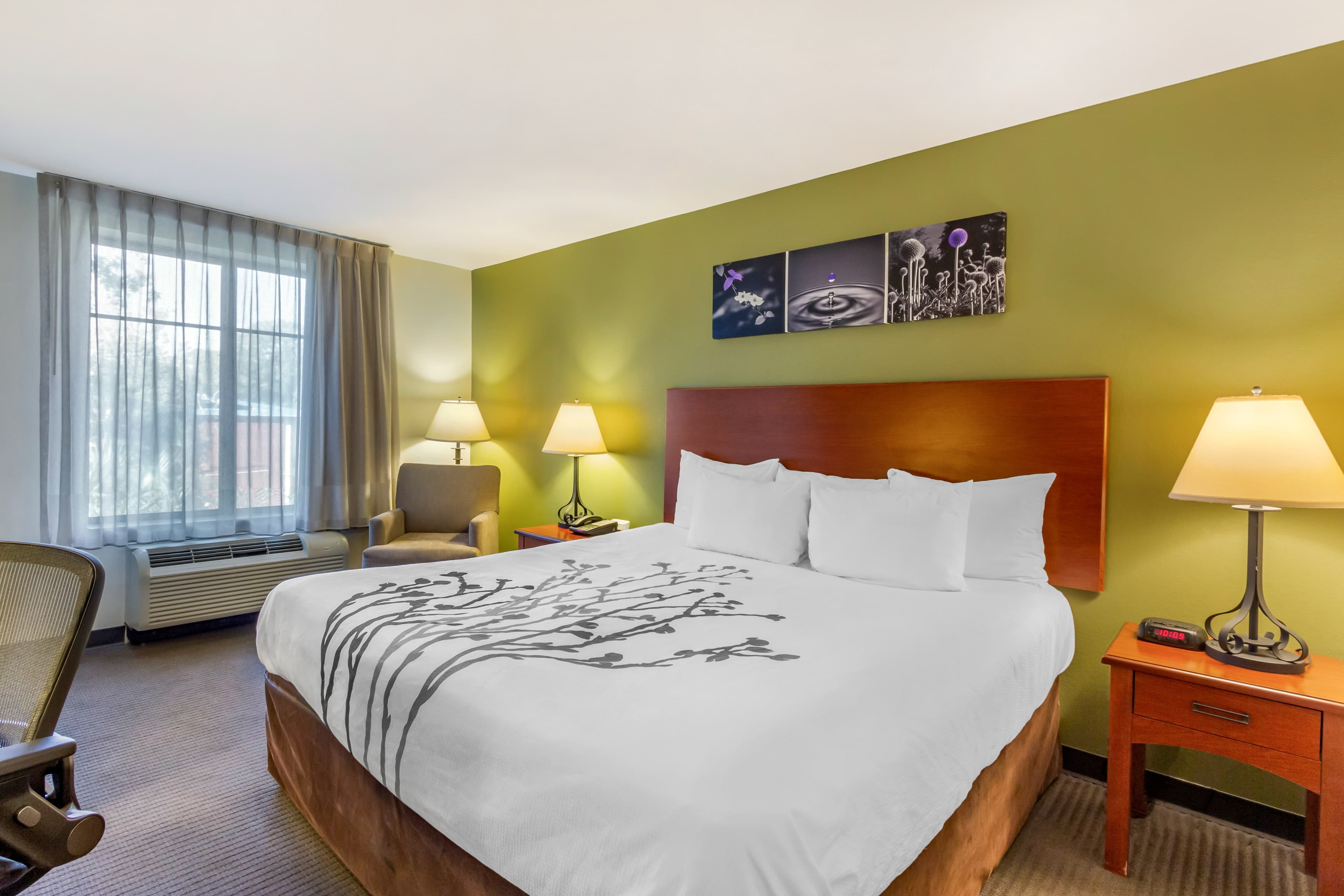Sleep Inn & Suites Jacksonville West - Image 1