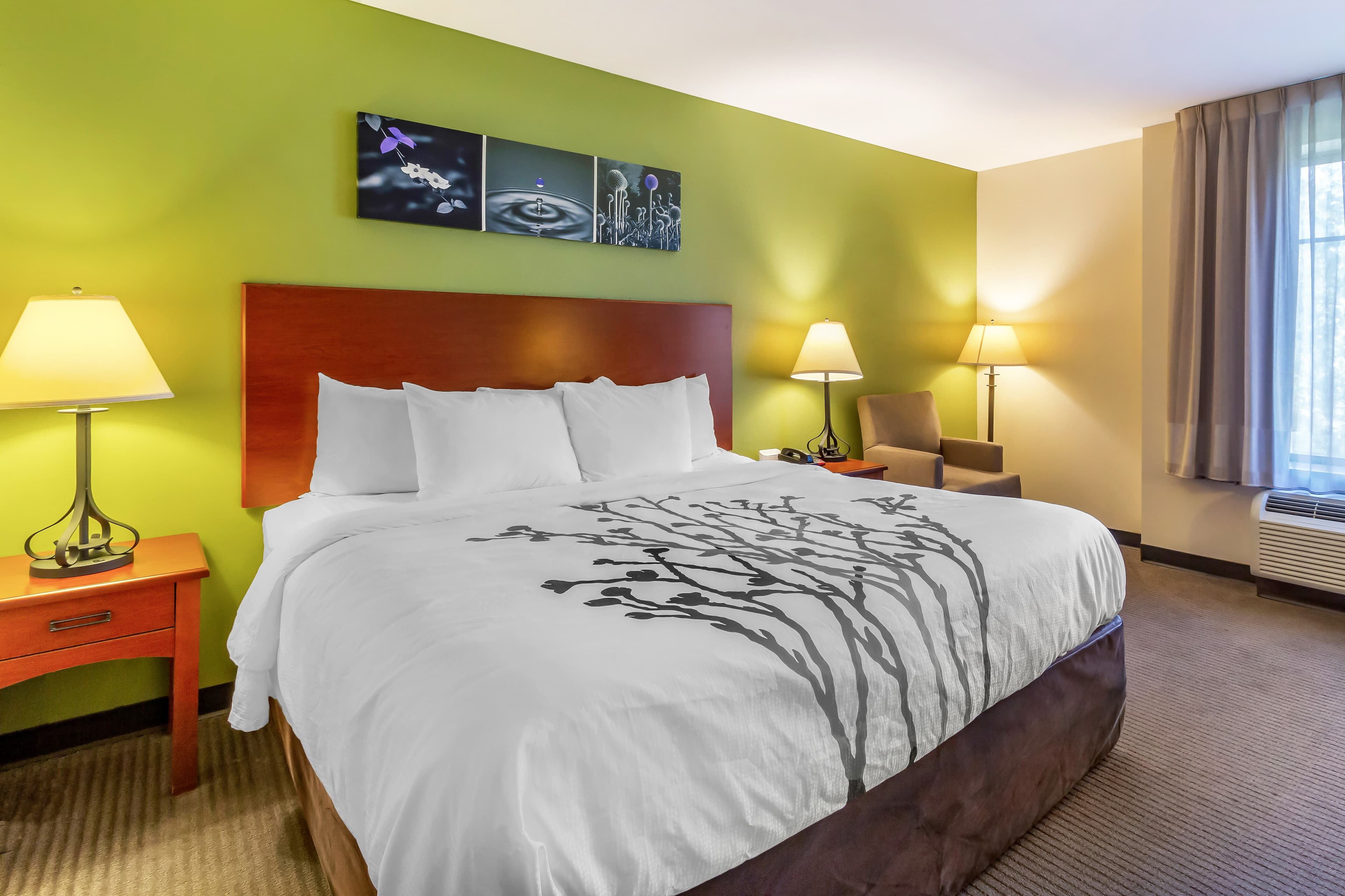 Sleep Inn & Suites Jacksonville West — 15
