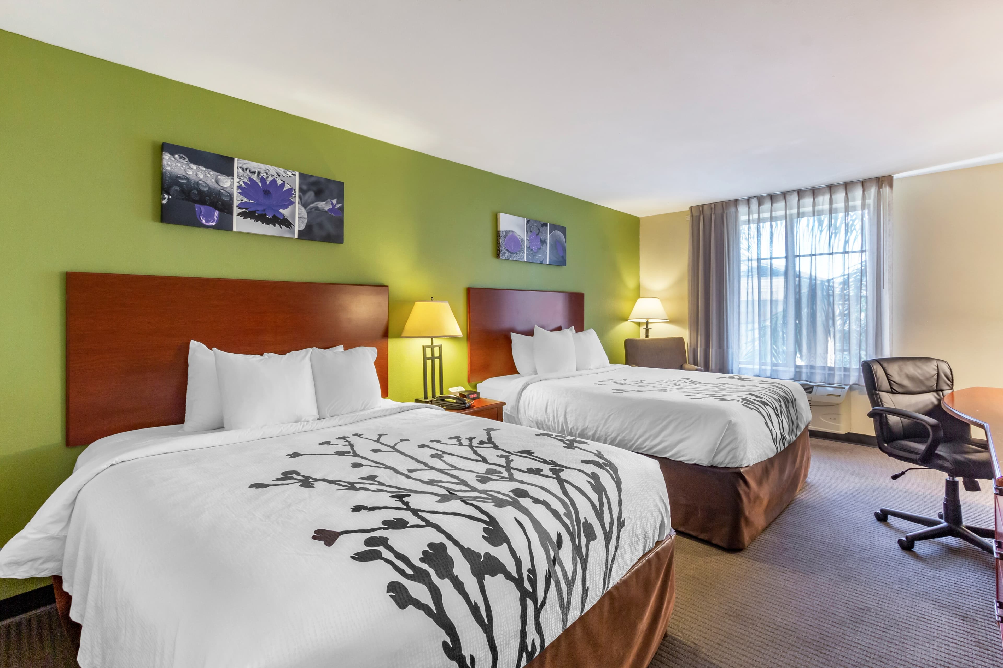 Sleep Inn & Suites Jacksonville West - Image 2