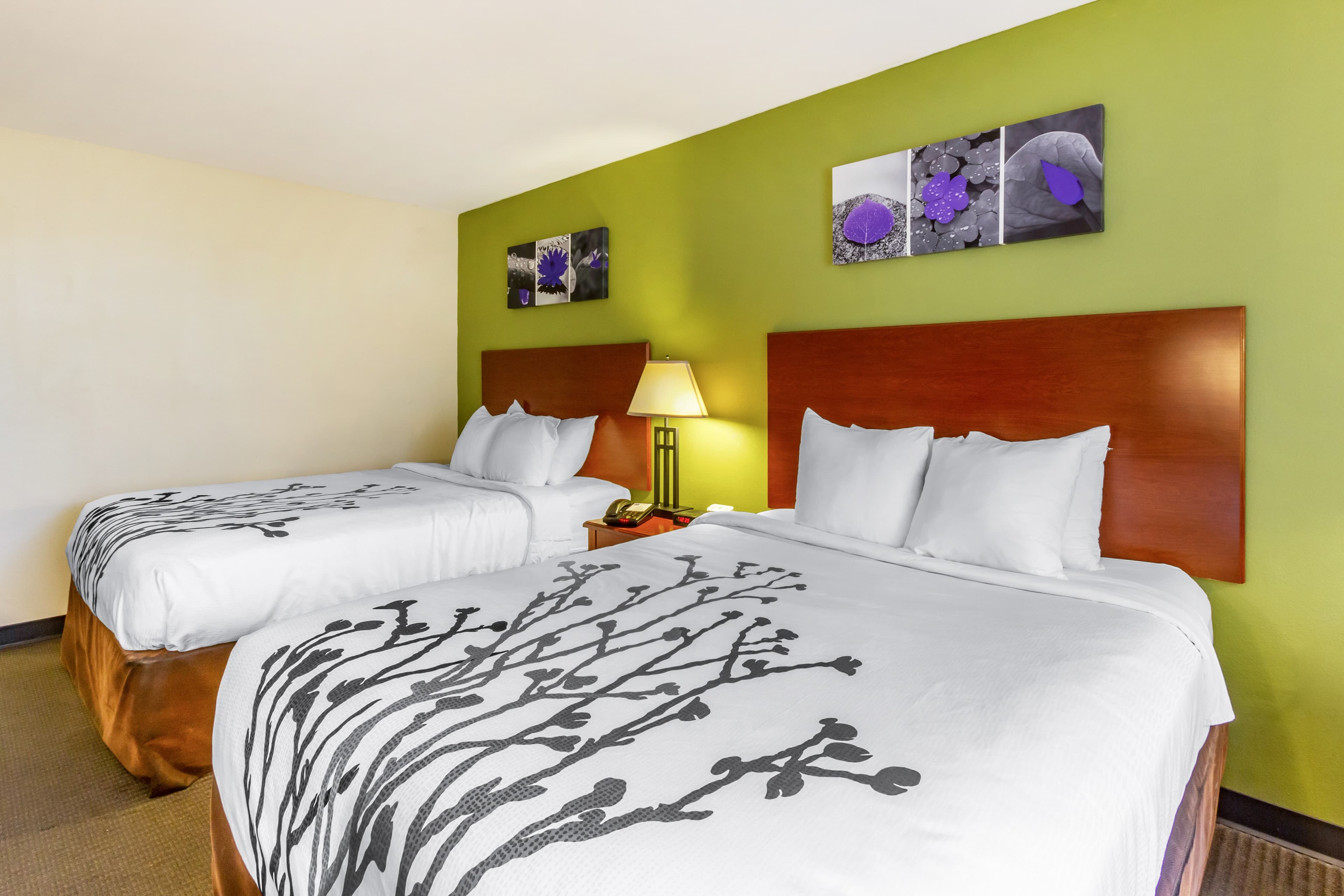 Sleep Inn & Suites Jacksonville West - Image 3