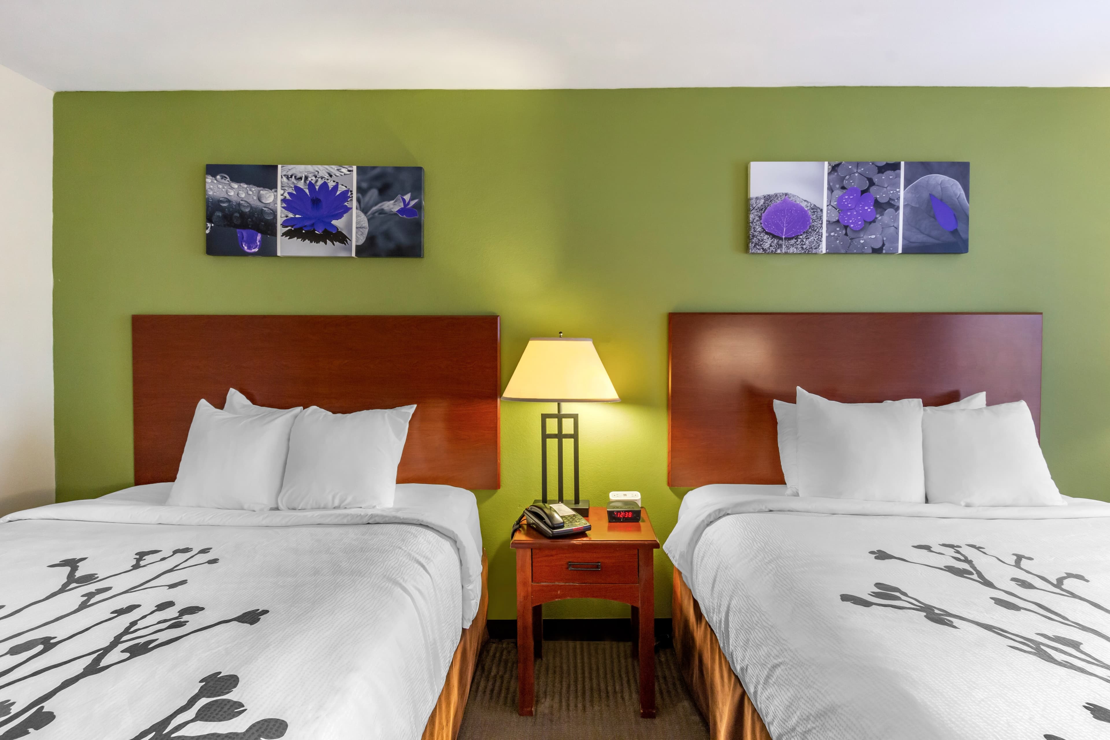 Sleep Inn & Suites Jacksonville West - Image 4
