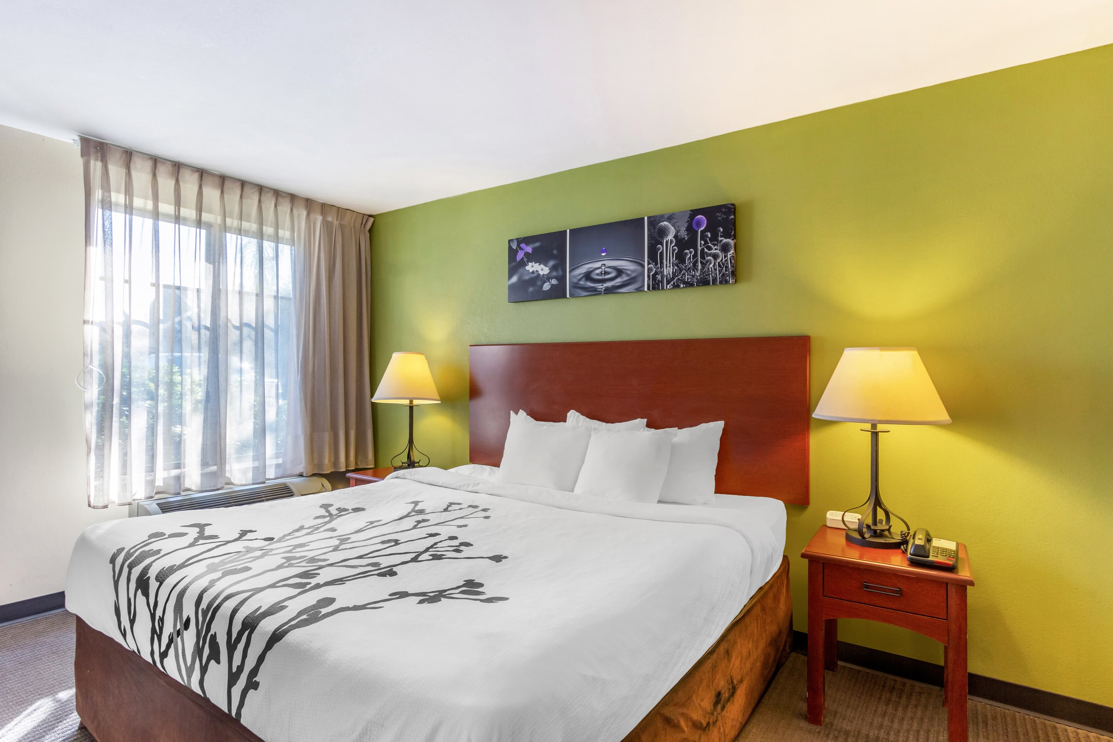 Sleep Inn & Suites Jacksonville West — 25