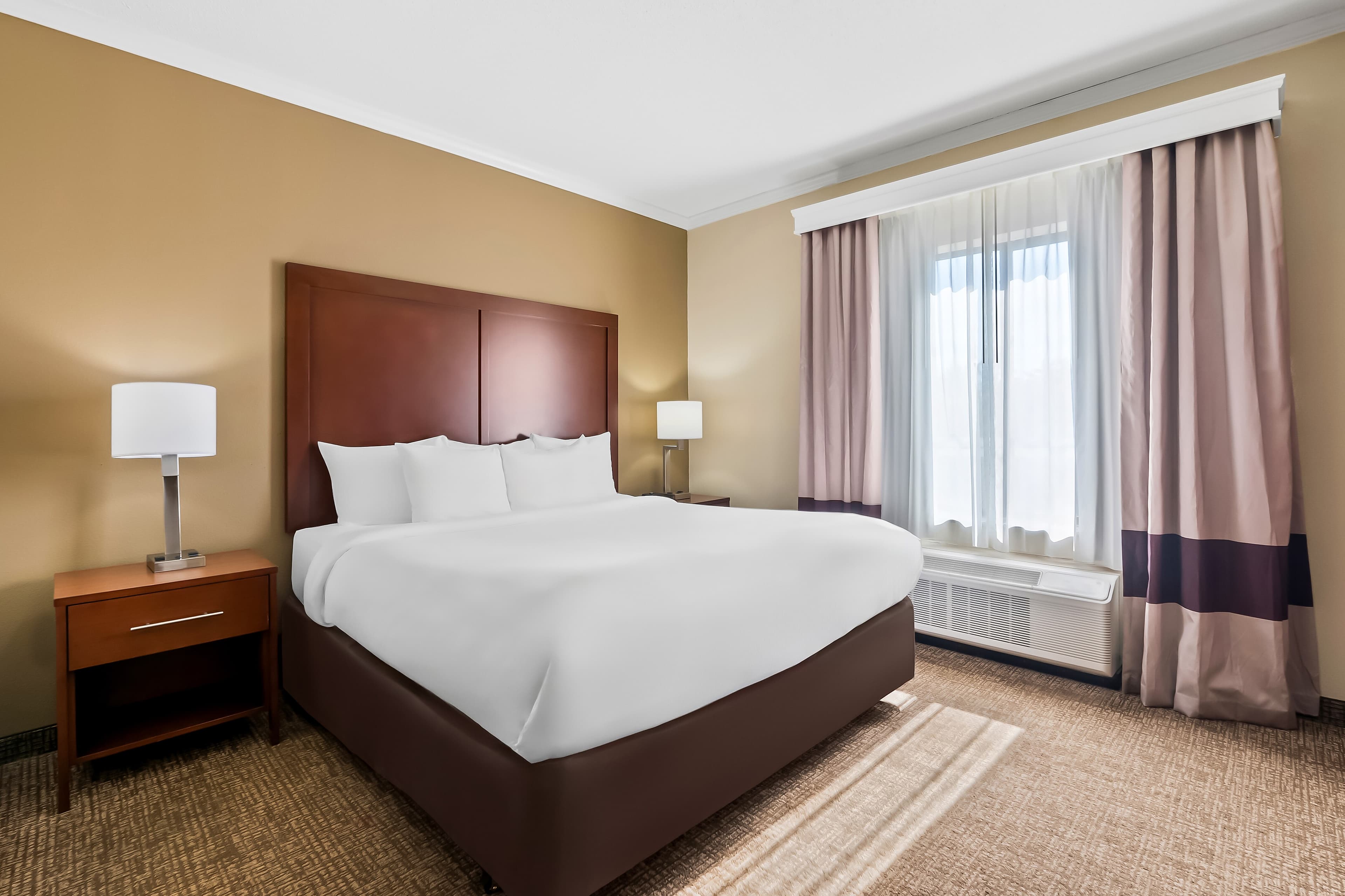 Comfort Suites Panama City near Tyndall AFB - Image 3