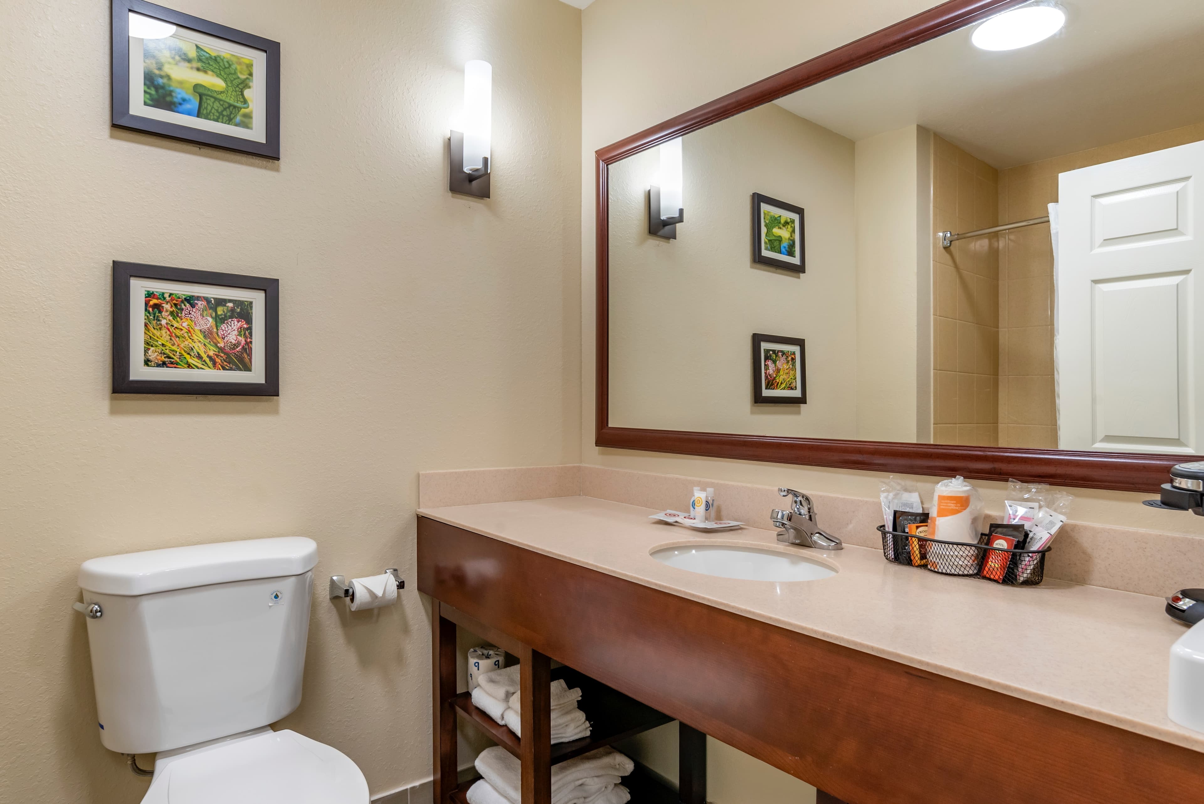 Comfort Suites Niceville Near Eglin Air Force Base — 17