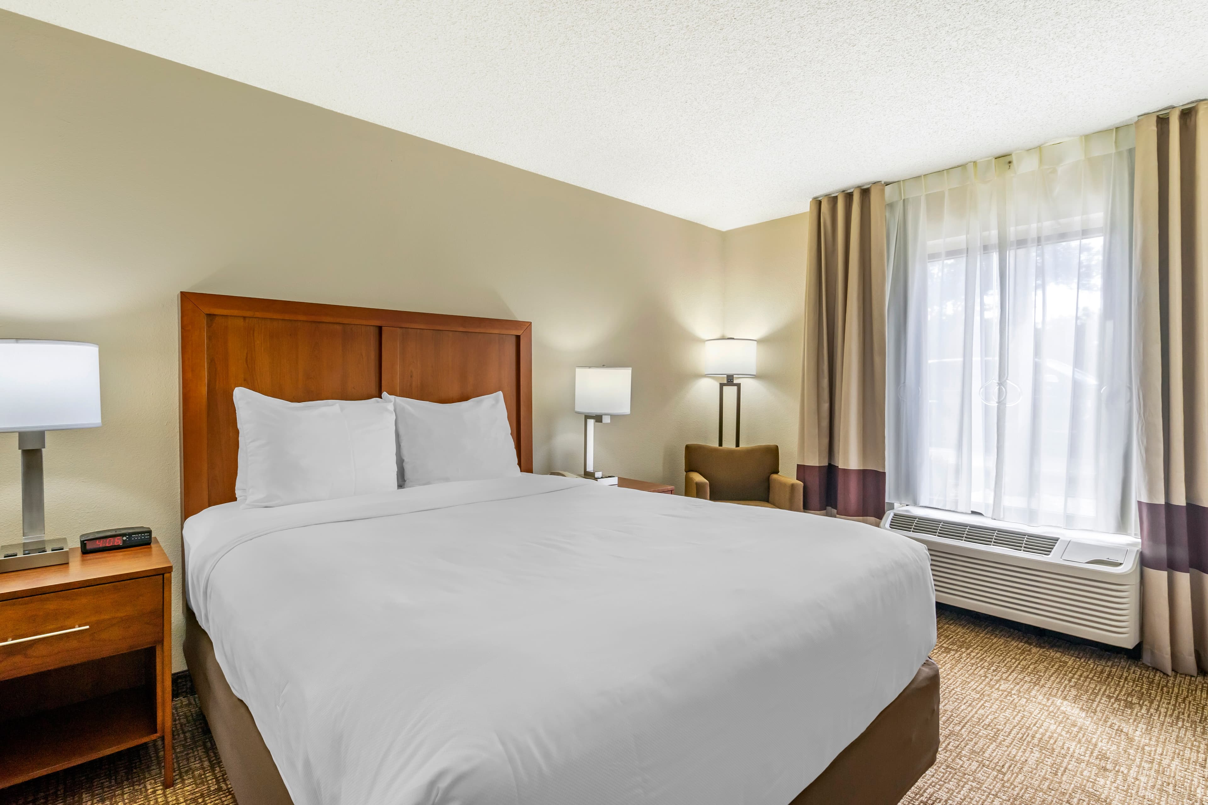 Comfort Inn & Suites St. Pete - Clearwater International Airport - Image 2