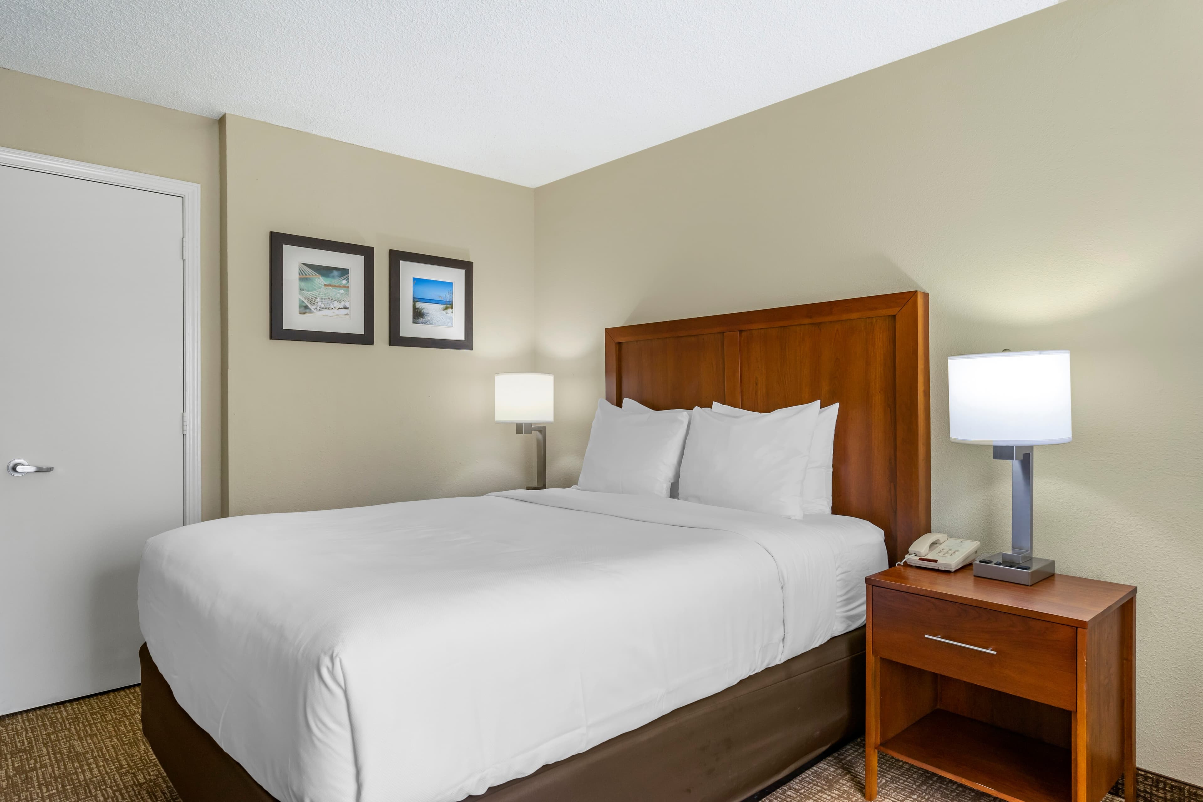 Comfort Inn & Suites St. Pete - Clearwater International Airport - Image 3