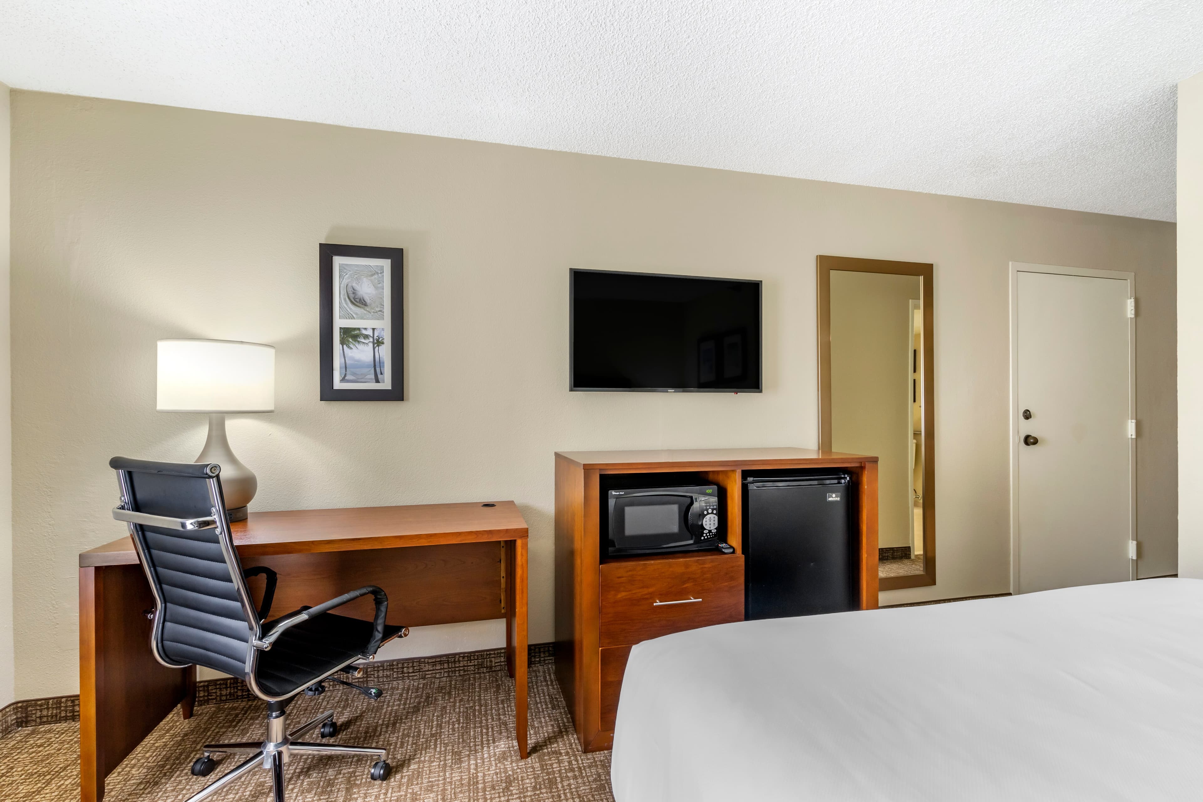 Comfort Inn & Suites St. Pete - Clearwater International Airport - Image 4