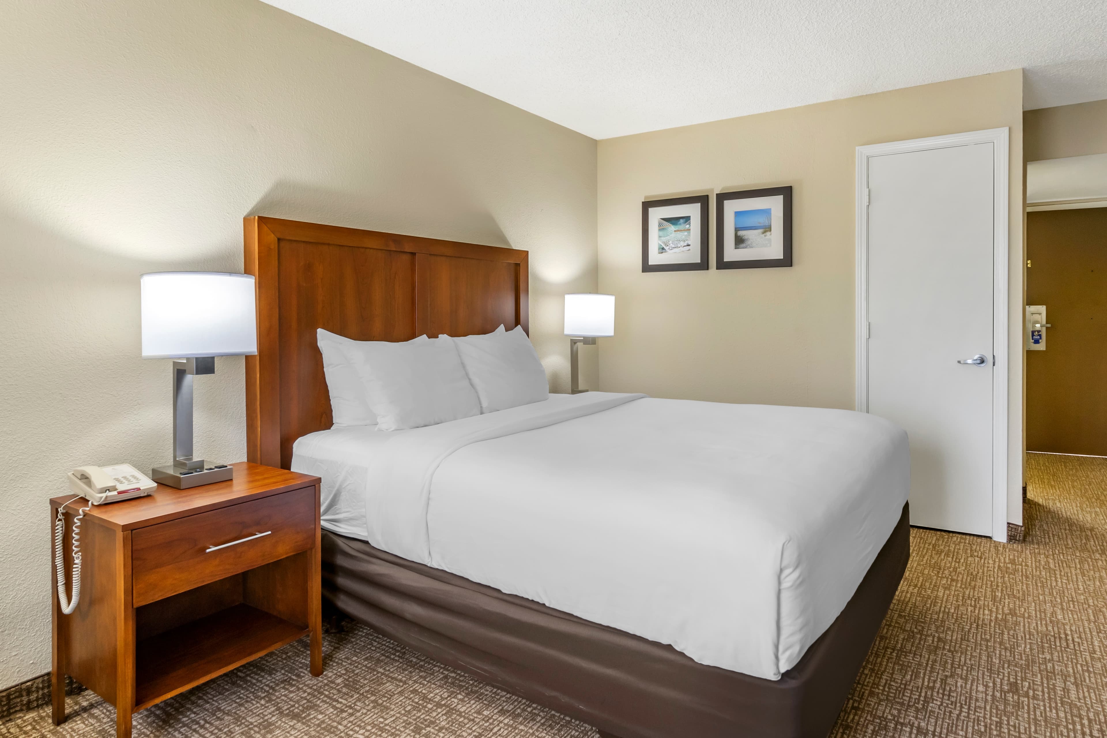 Comfort Inn & Suites St. Pete - Clearwater International Airport — 6