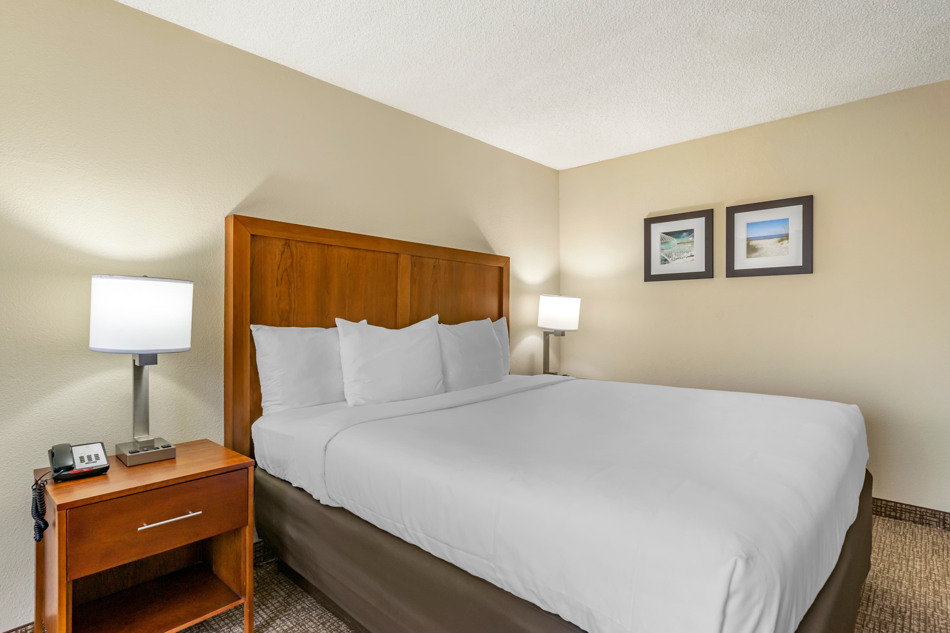 Comfort Inn & Suites St. Pete - Clearwater International Airport — 10