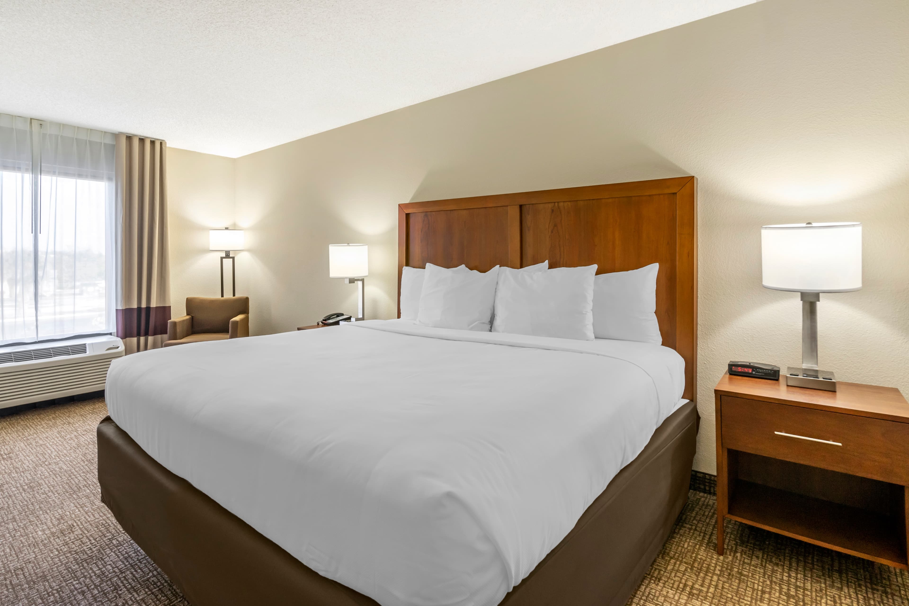 Comfort Inn & Suites St. Pete - Clearwater International Airport — 11