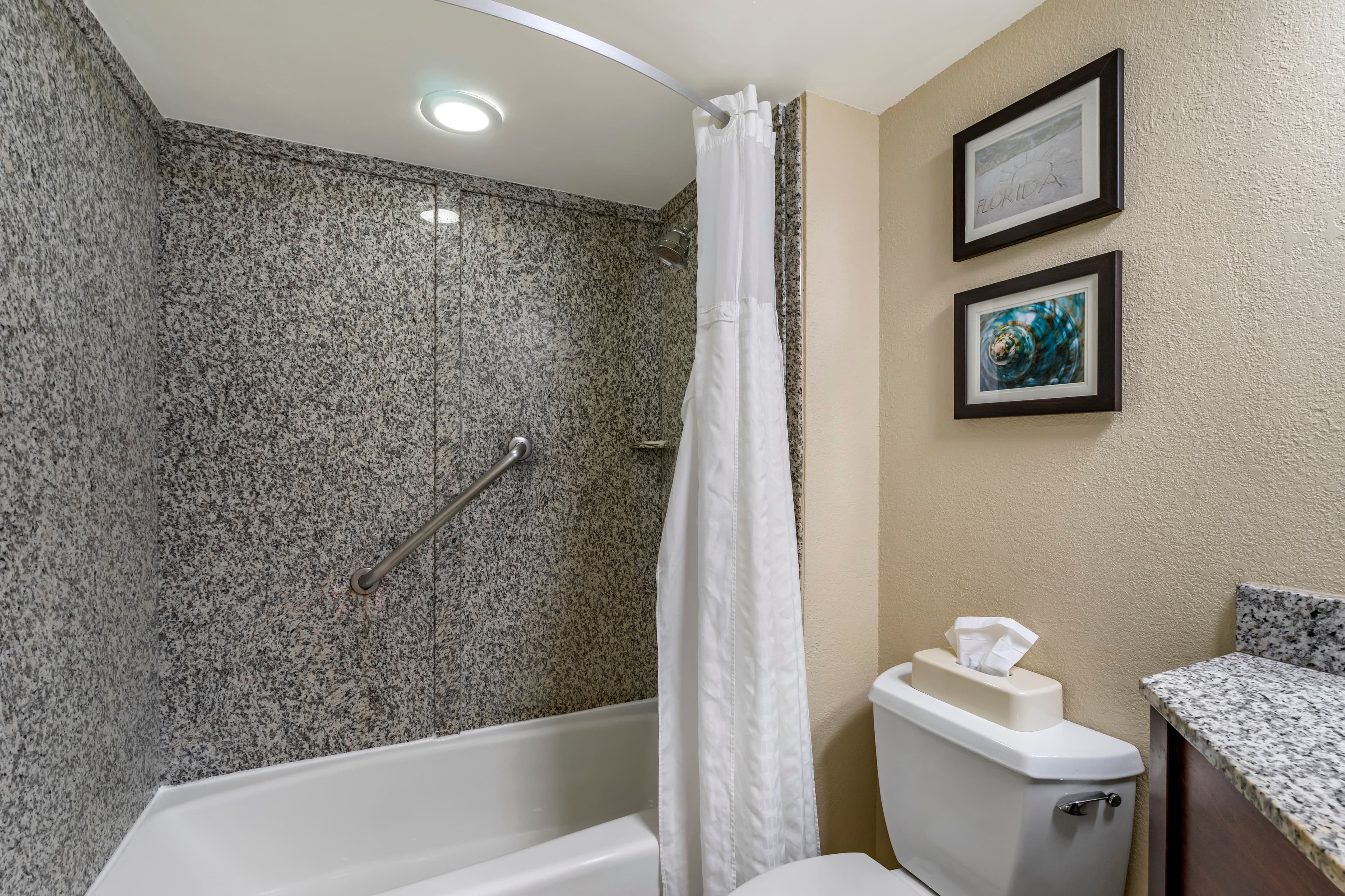 Comfort Inn & Suites St. Pete - Clearwater International Airport — 13