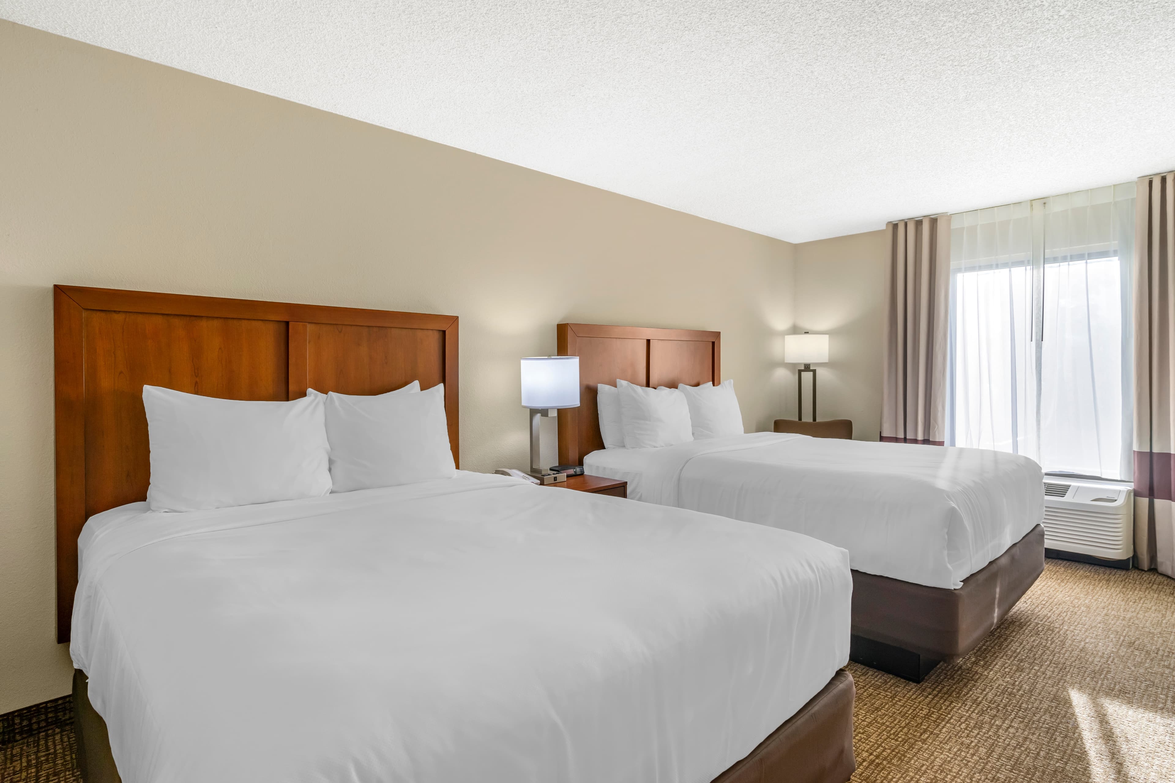 Comfort Inn & Suites St. Pete - Clearwater International Airport — 18