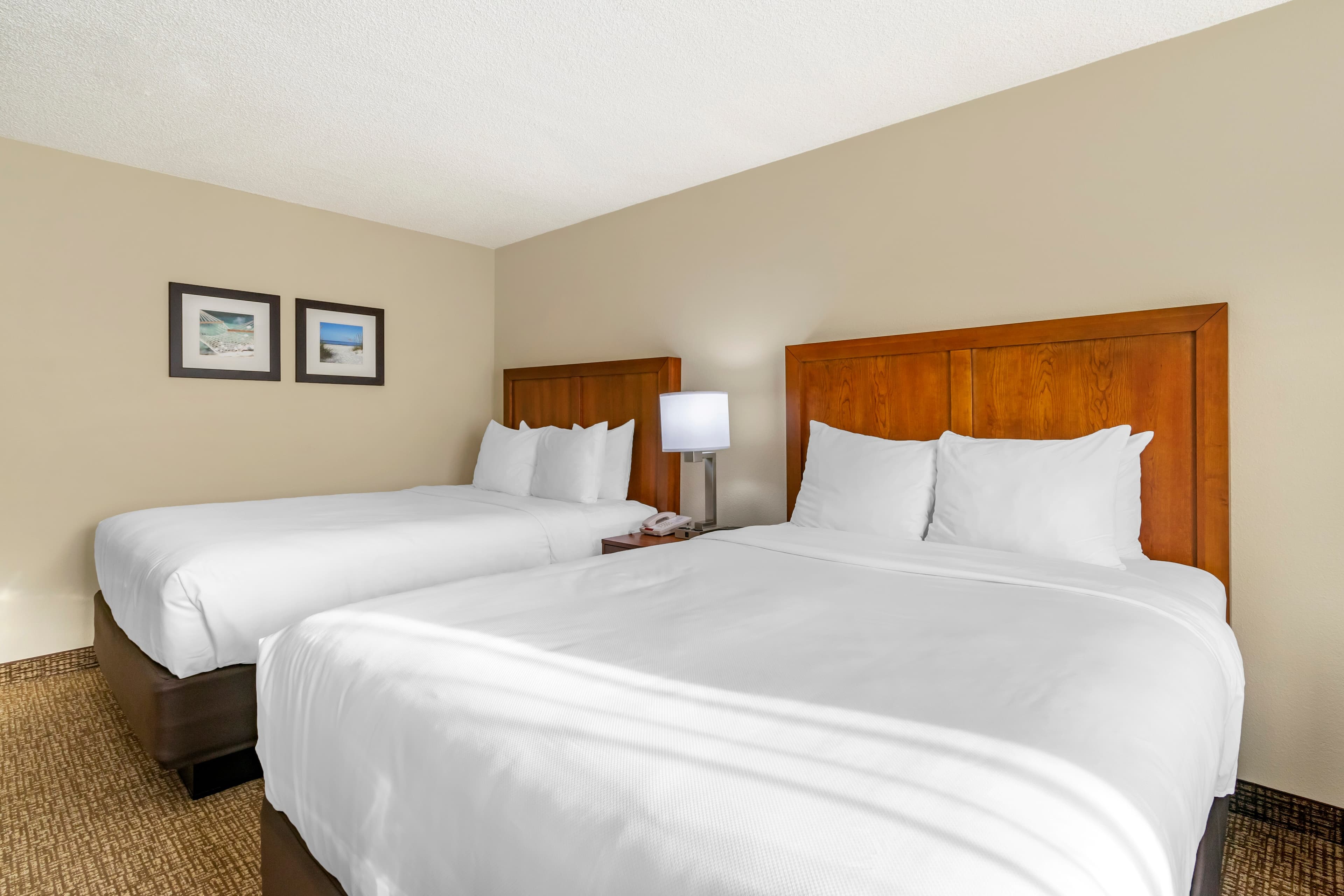 Comfort Inn & Suites St. Pete - Clearwater International Airport — 19