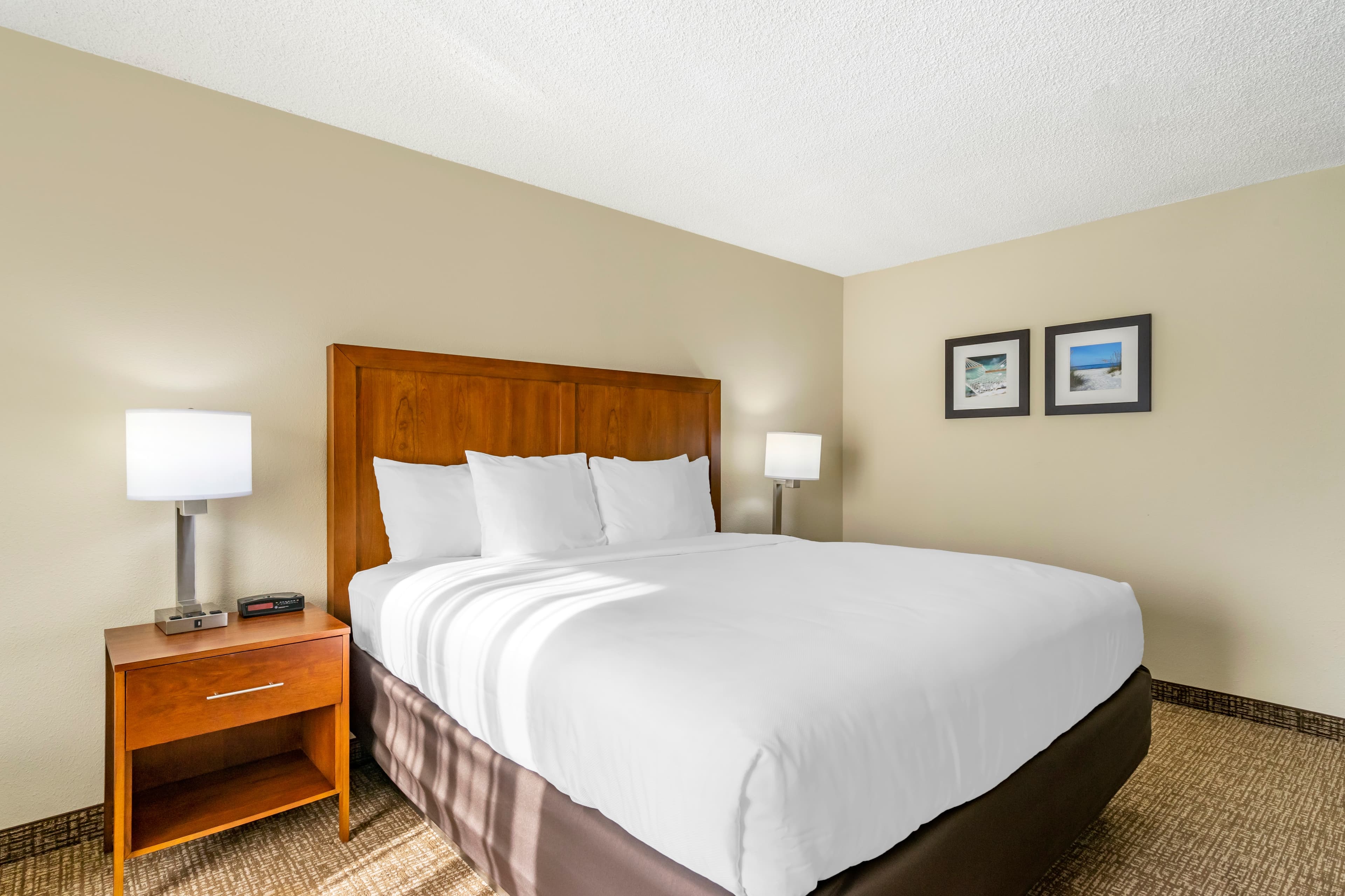 Comfort Inn & Suites St. Pete - Clearwater International Airport — 23
