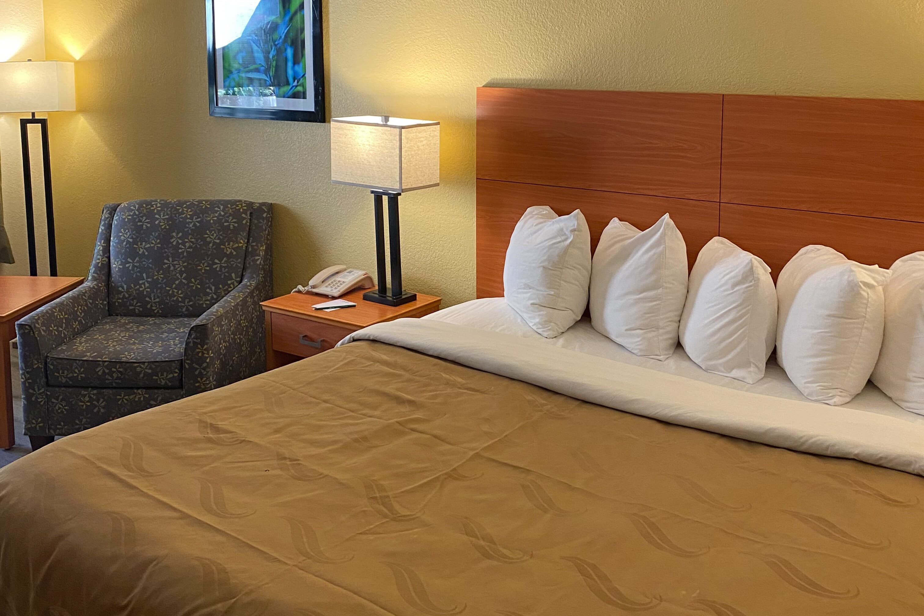 Quality Inn near Manatee Springs State Park - Image 4