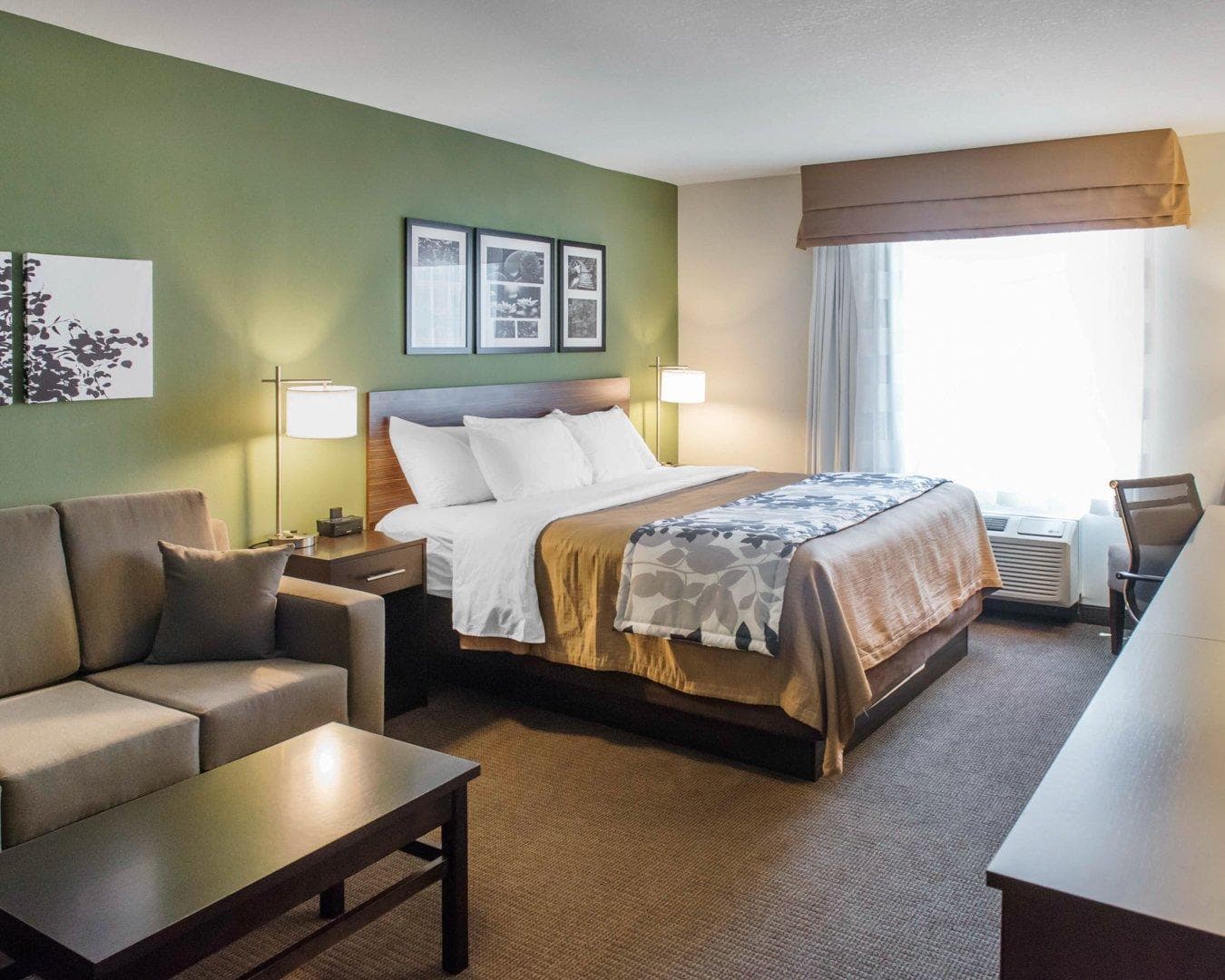 Sleep Inn & Suites Defuniak Springs - Crestview — 33