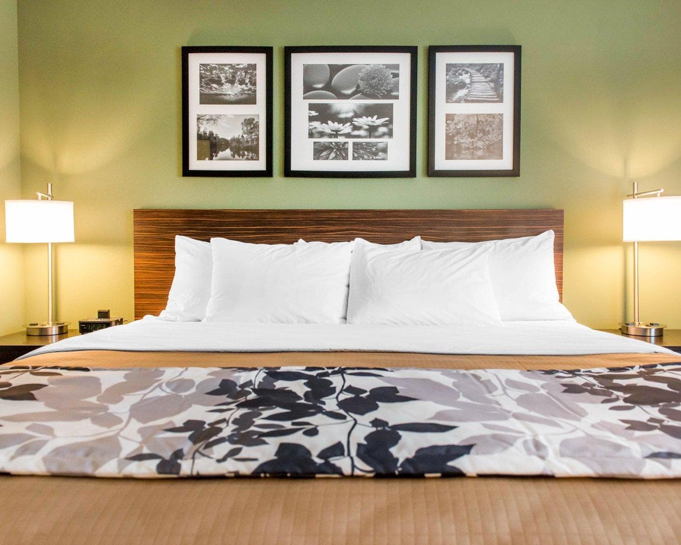 Sleep Inn & Suites Defuniak Springs - Crestview - Image 3