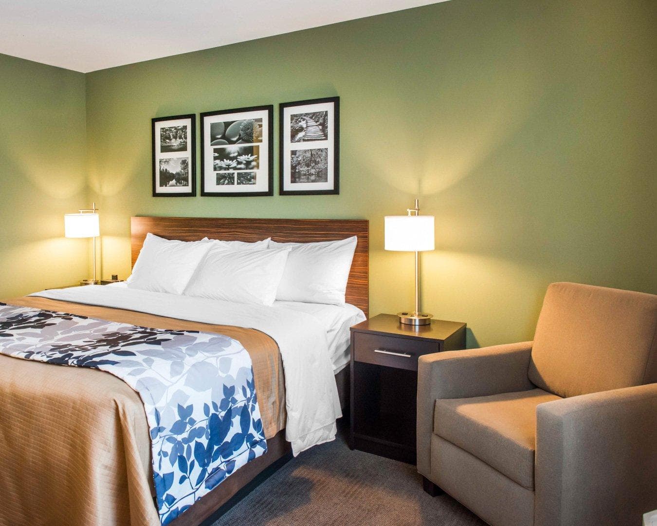Sleep Inn & Suites Defuniak Springs - Crestview - Image 4