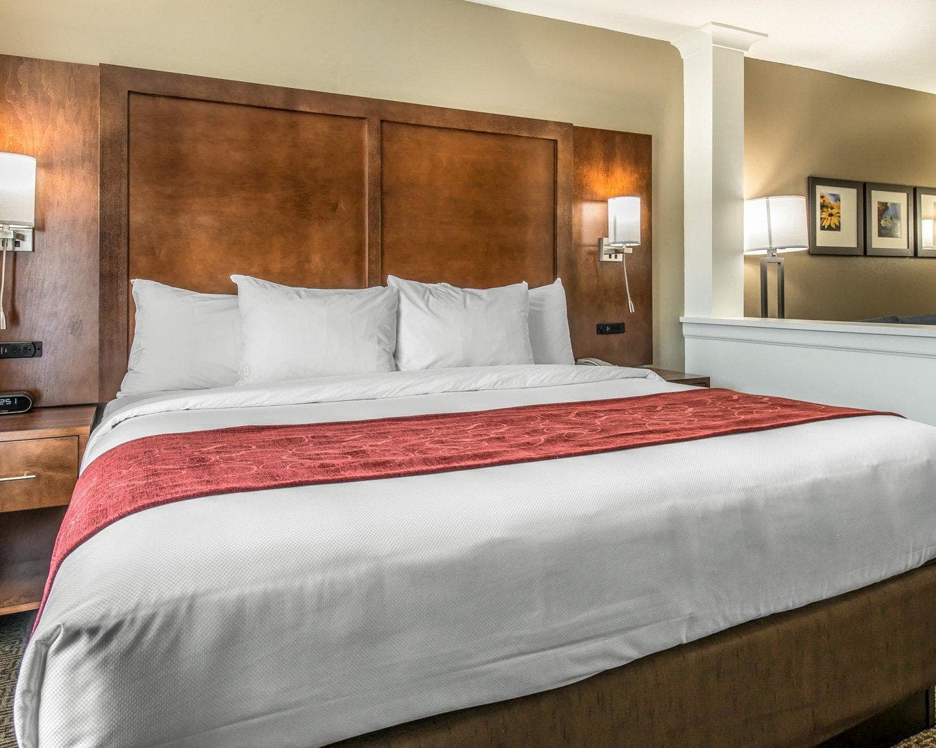 Comfort Suites Dunnellon near Rainbow Springs - Image 3