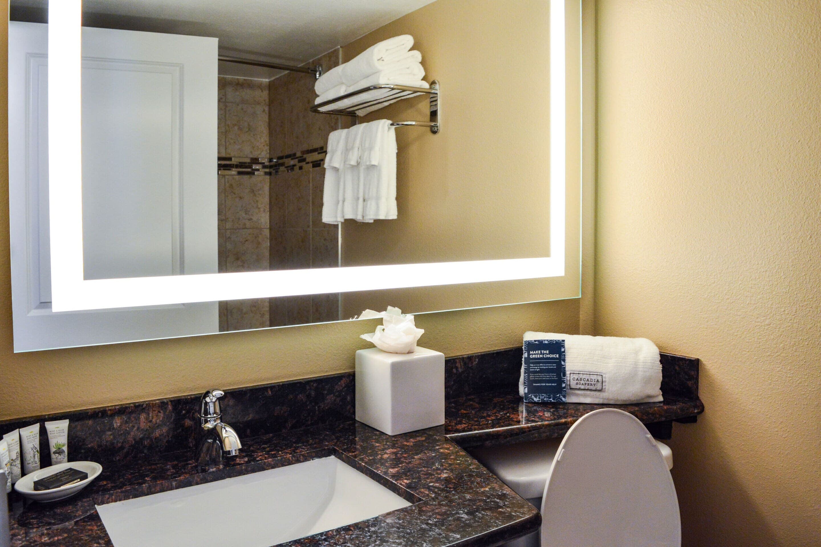 Radisson Hotel Orlando Lake Buena Vista South — 12