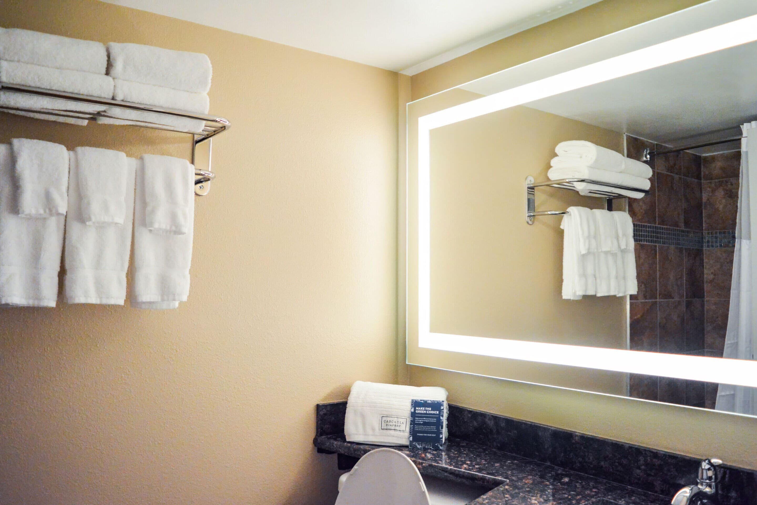 Radisson Hotel Orlando Lake Buena Vista South — 13