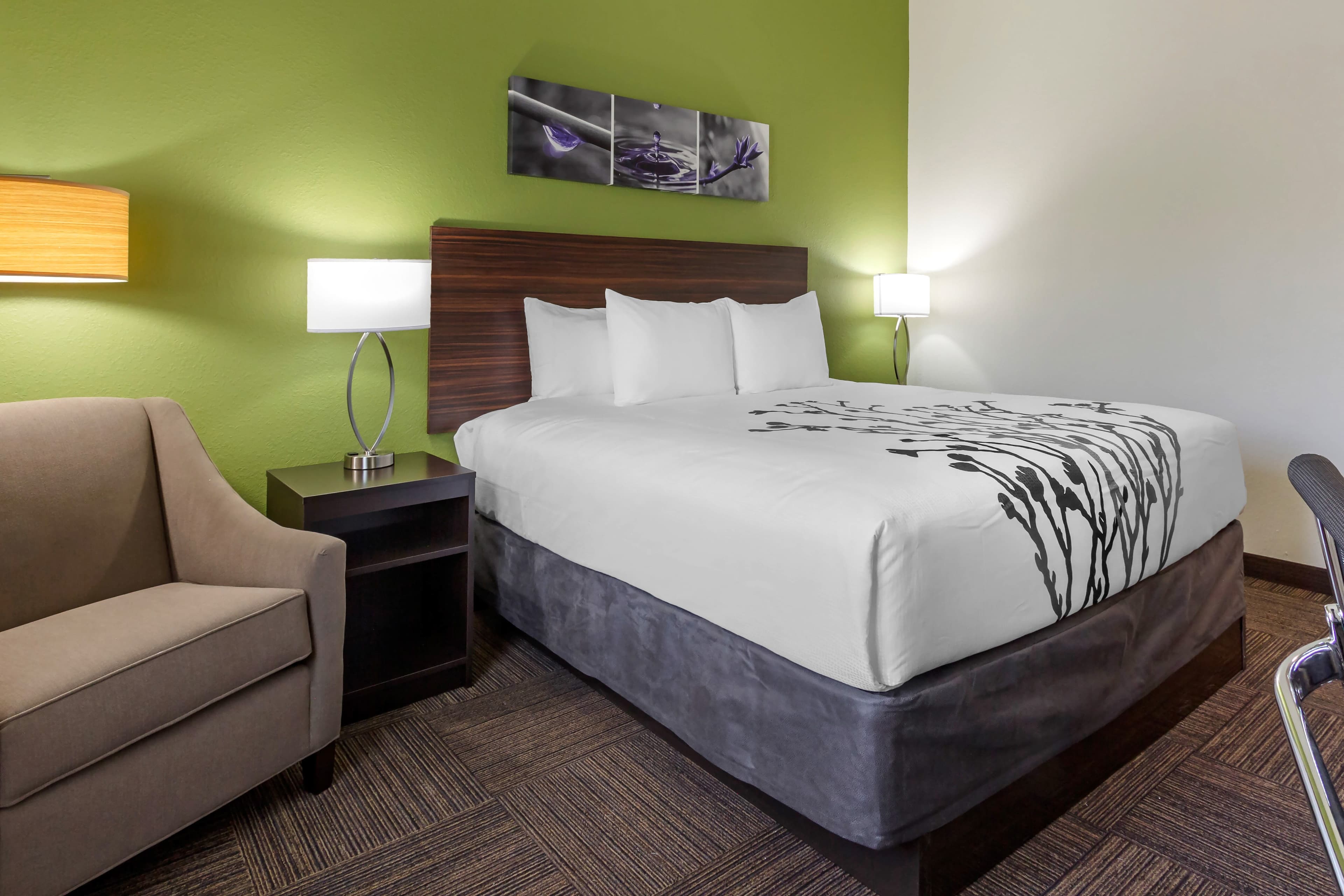 Sleep Inn & Suites Tampa South - Image 2