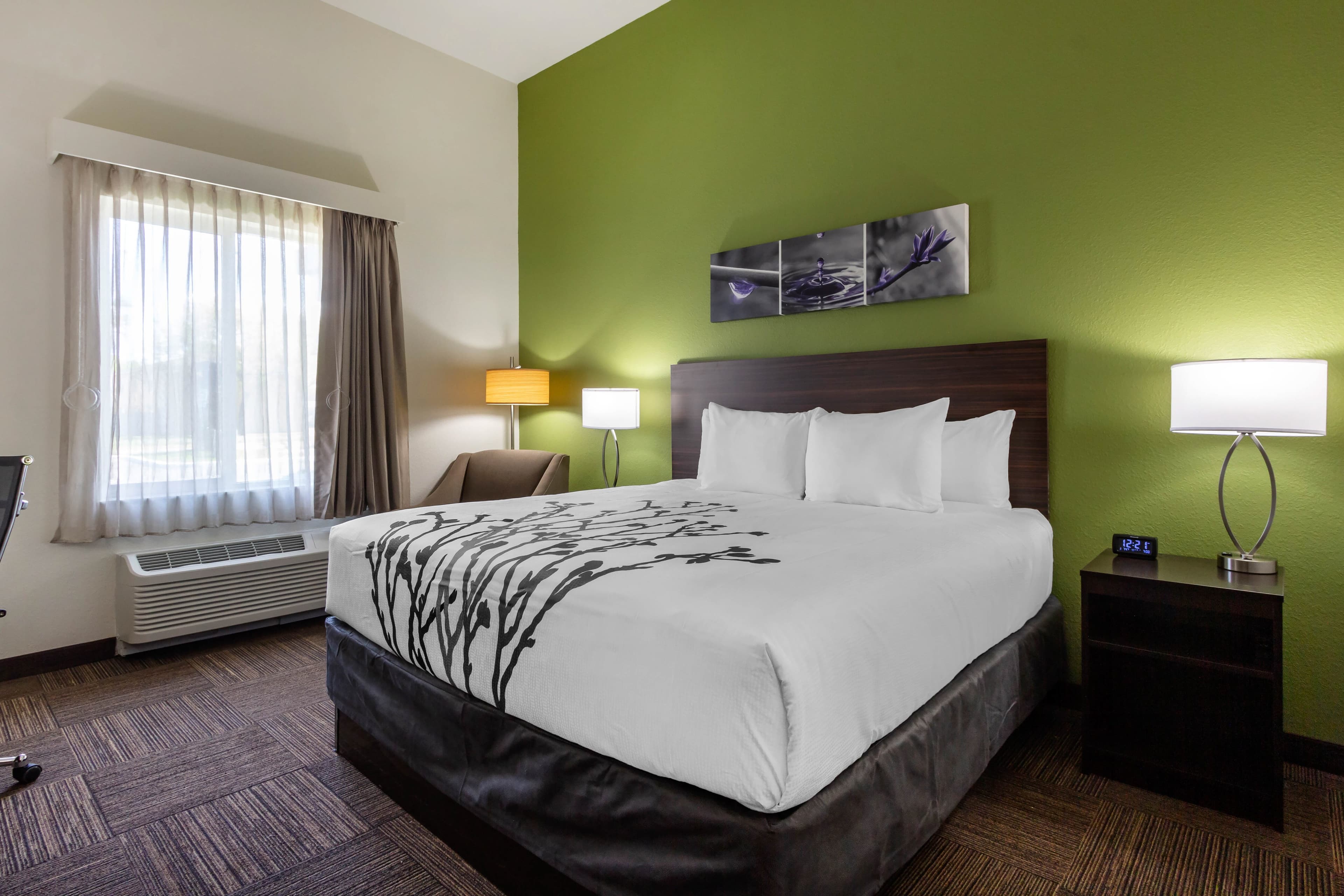 Sleep Inn & Suites Tampa South - Image 3