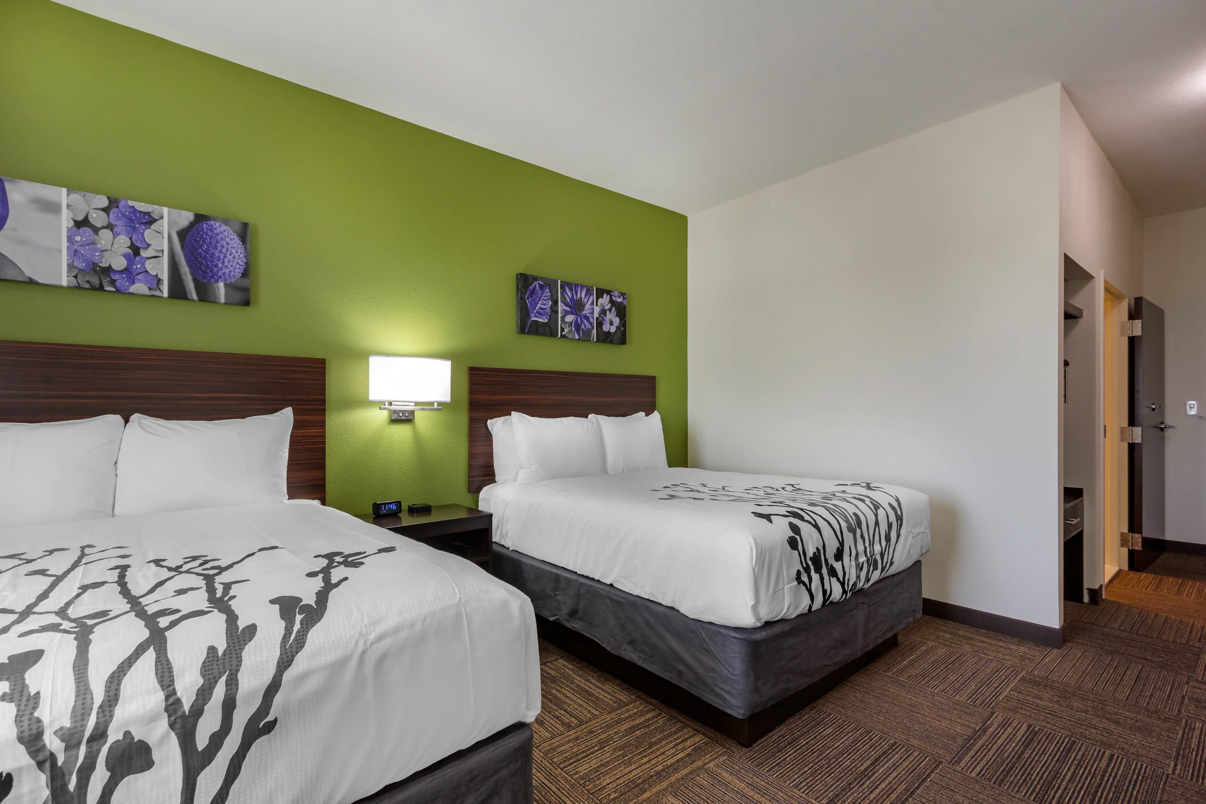 Sleep Inn & Suites Tampa South — 9