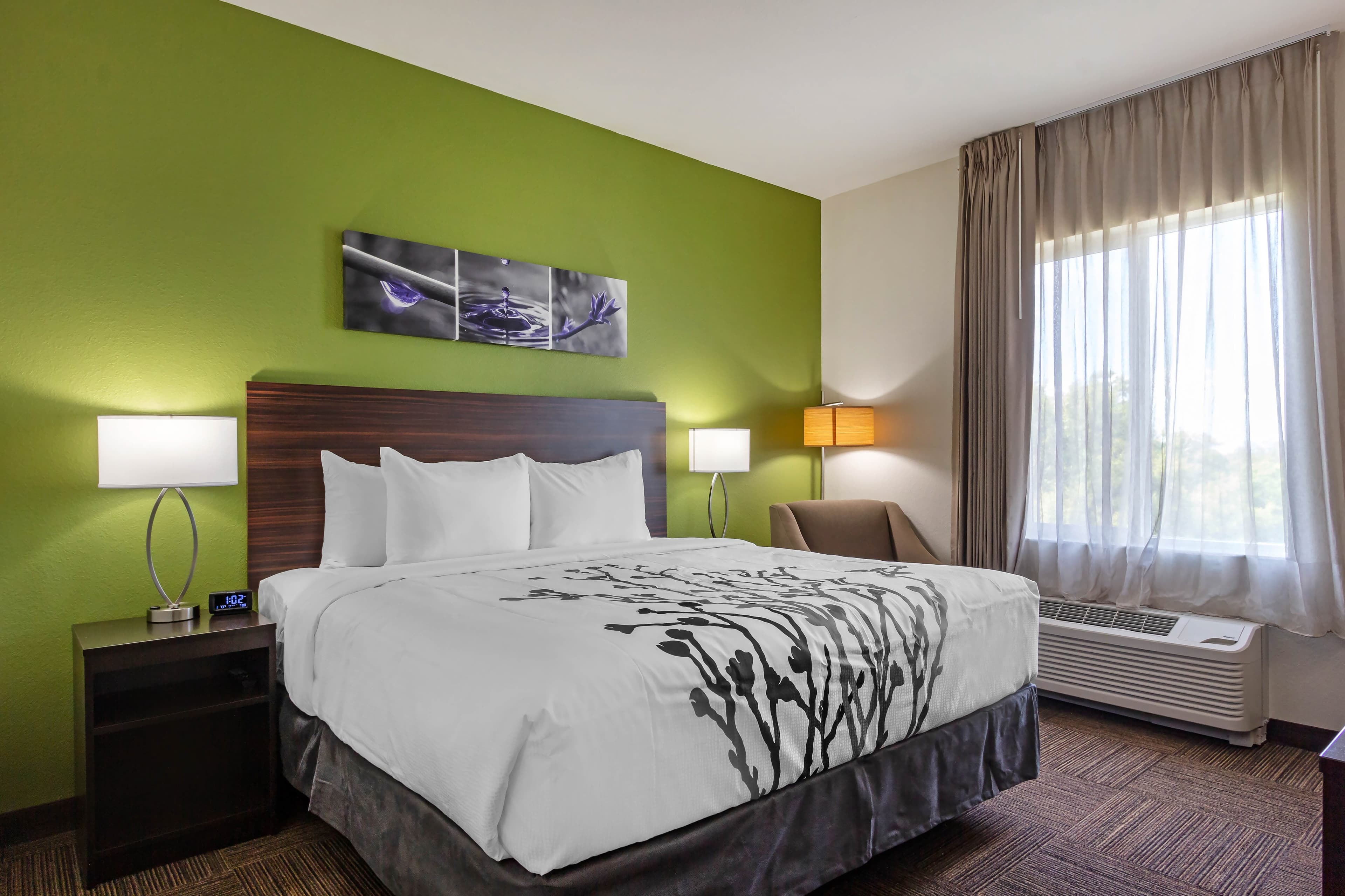 Sleep Inn & Suites Tampa South - Image 1