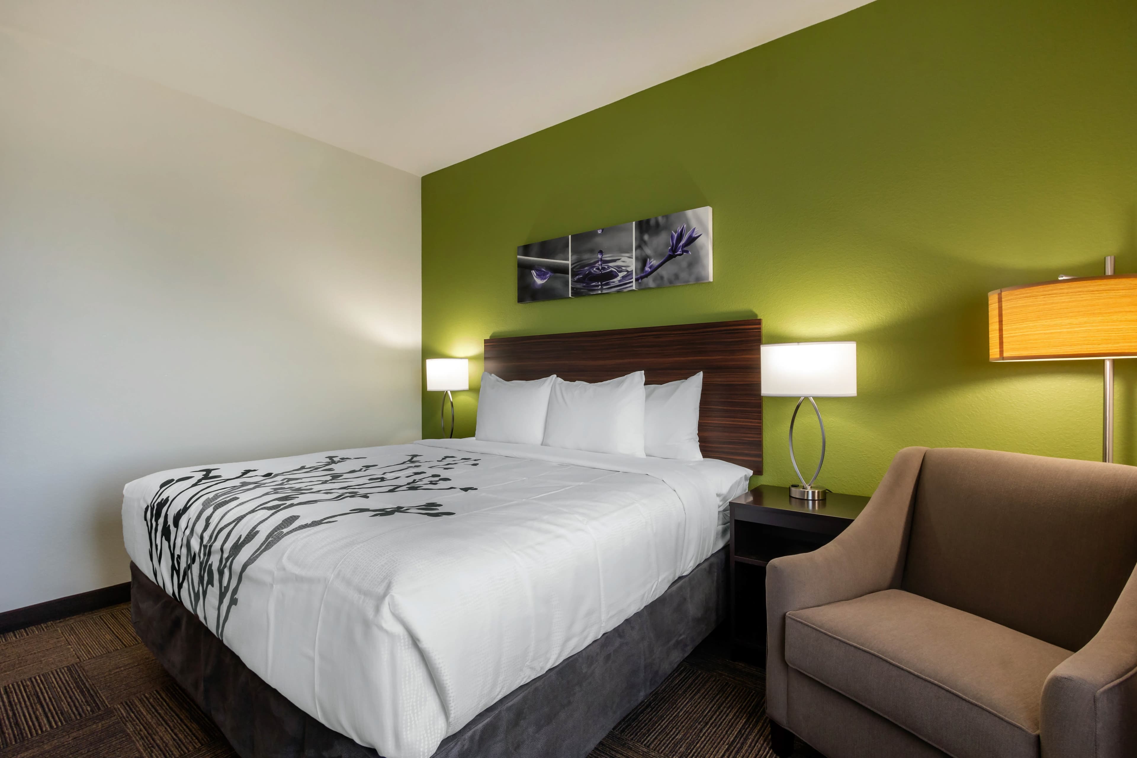 Sleep Inn & Suites Tampa South — 14