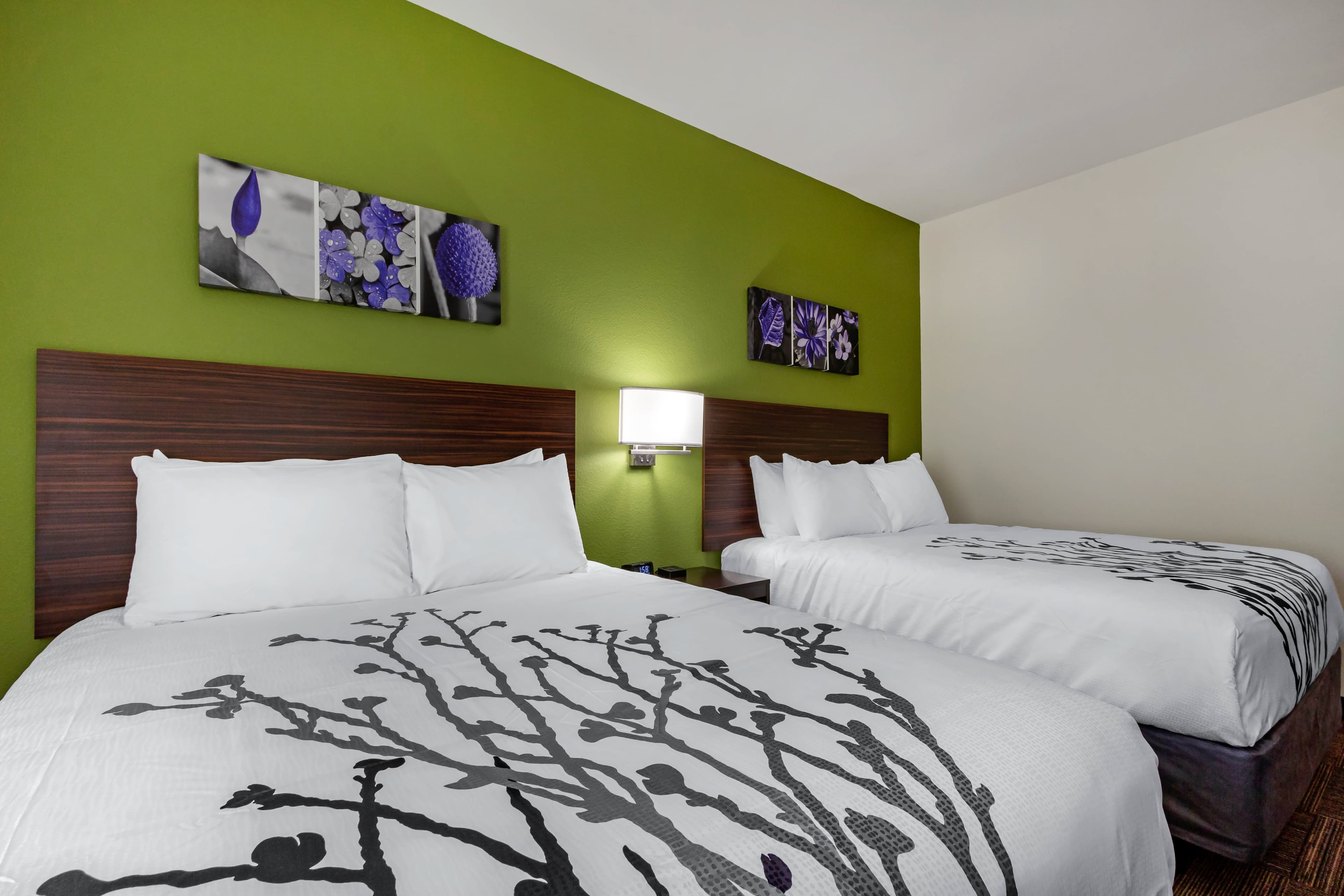 Sleep Inn & Suites Tampa South — 18