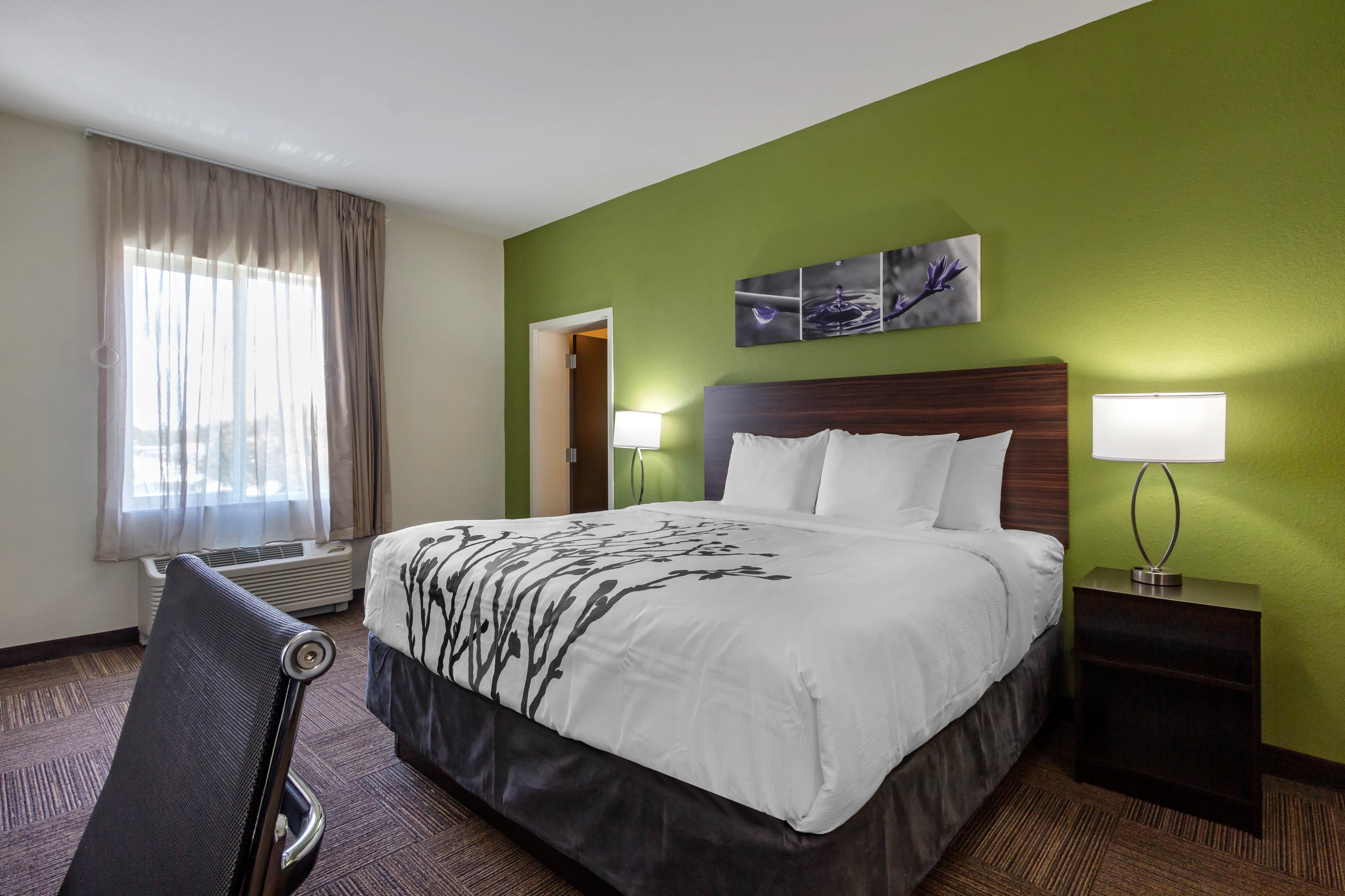 Sleep Inn & Suites Tampa South — 22