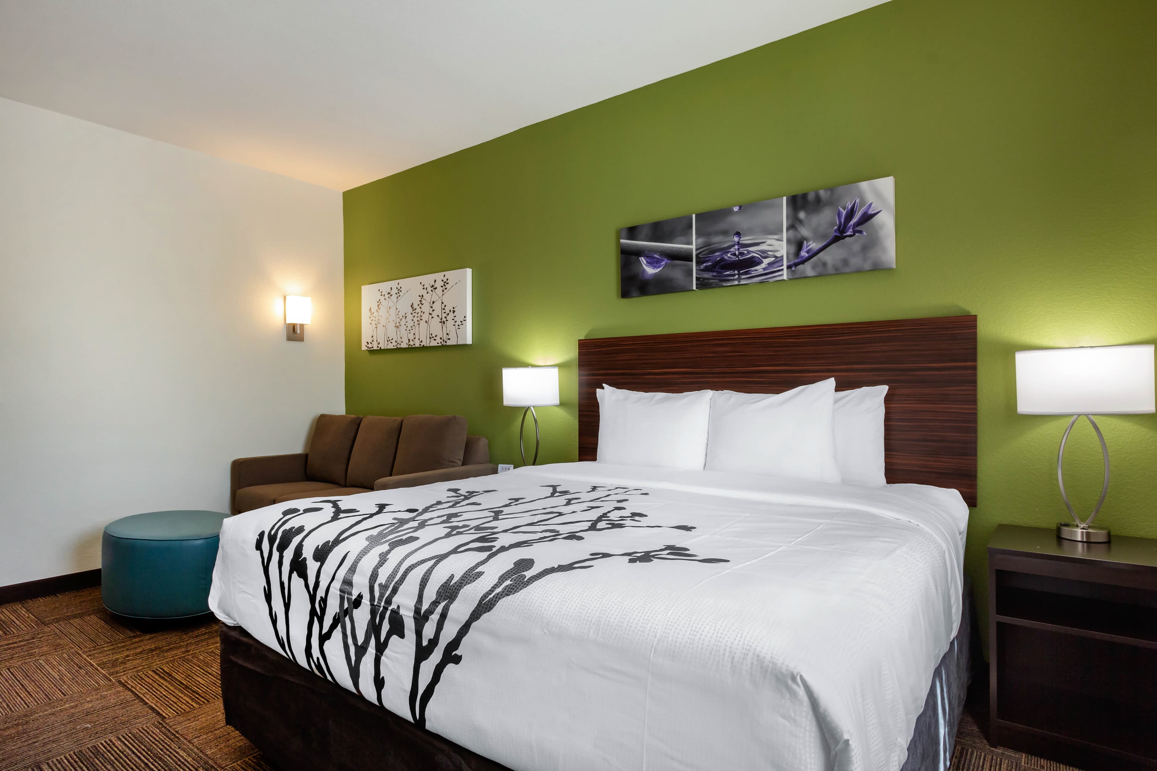 Sleep Inn & Suites Tampa South — 29