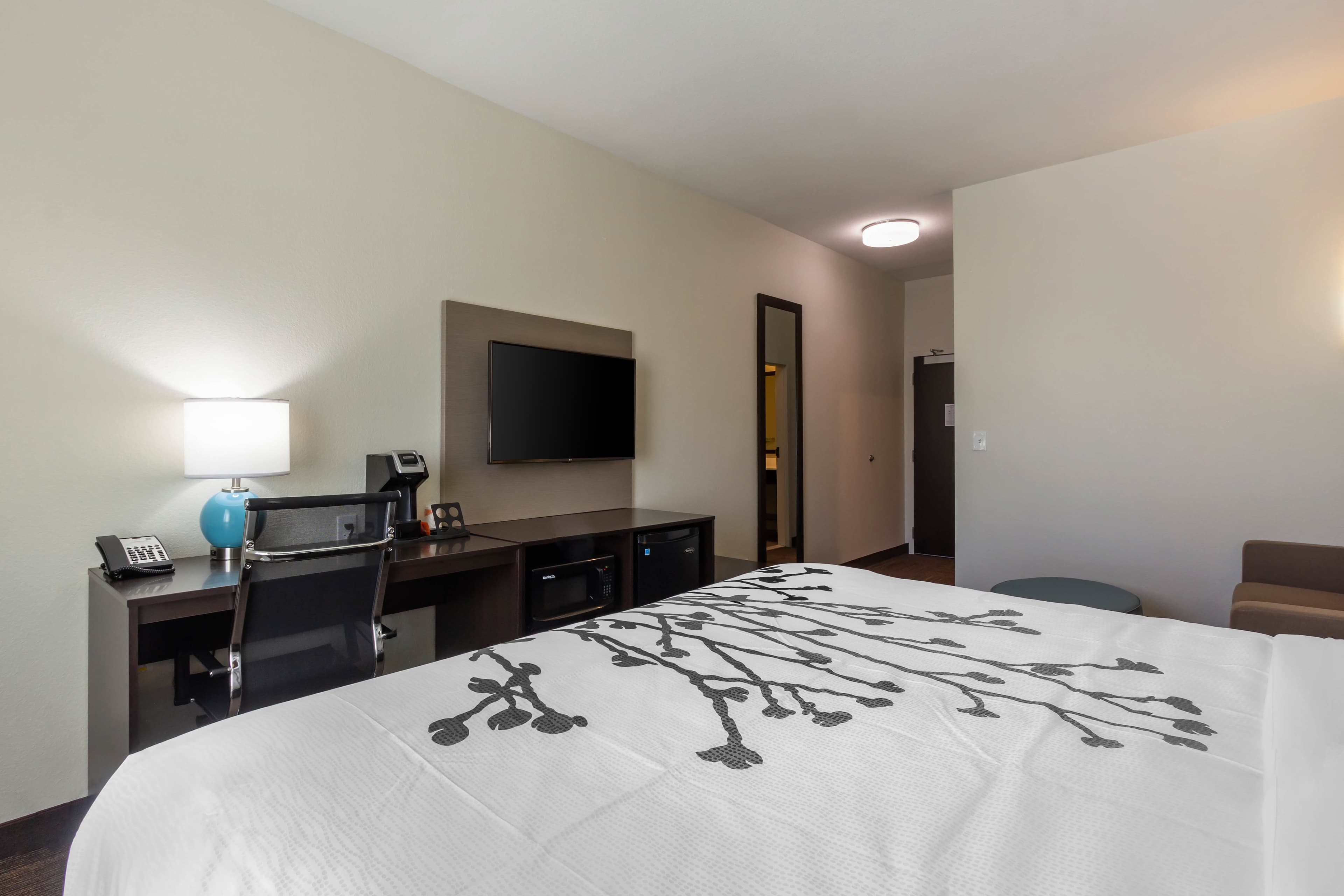 Sleep Inn & Suites Tampa South — 30