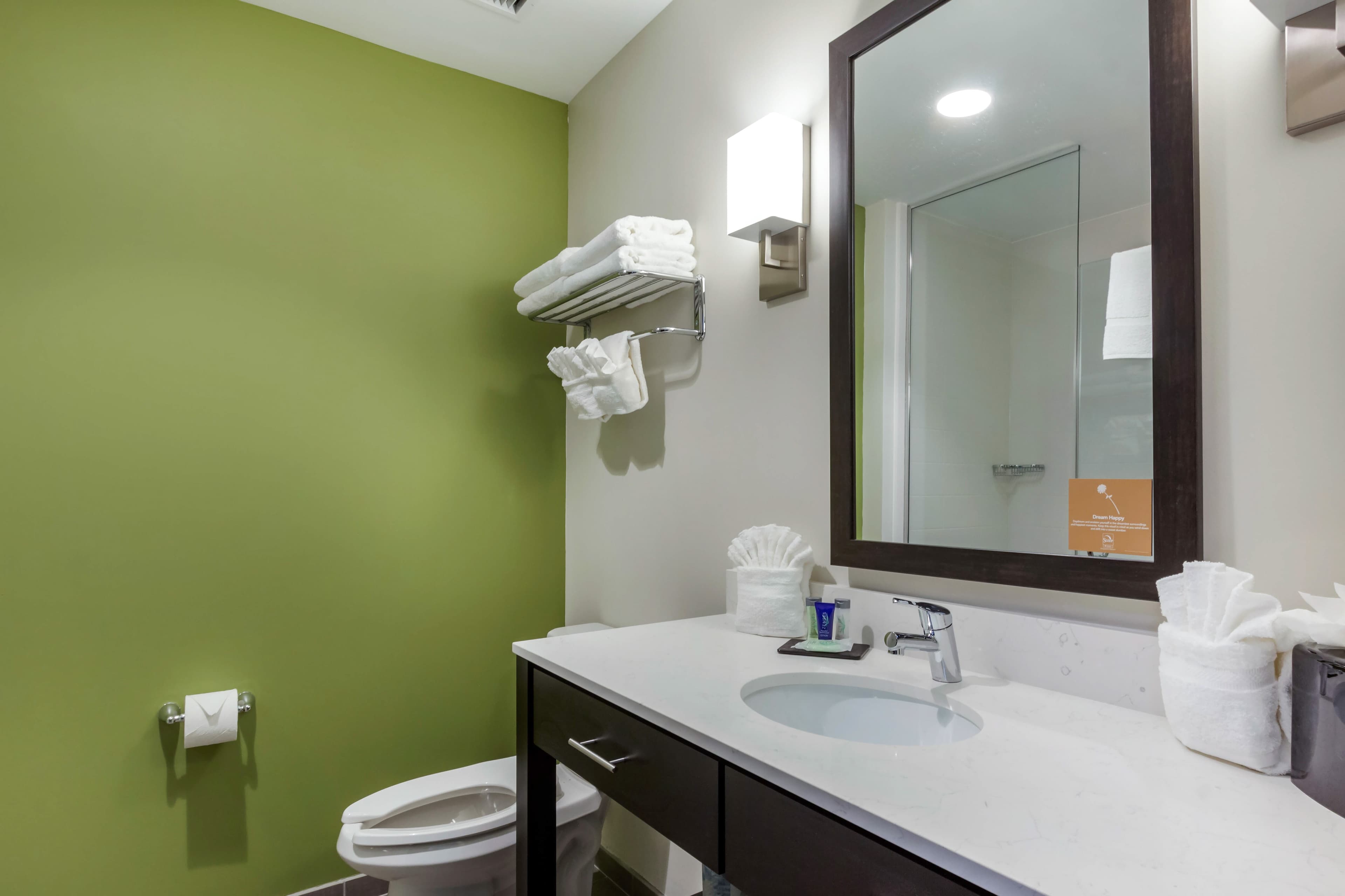 Sleep Inn & Suites Tampa South — 21