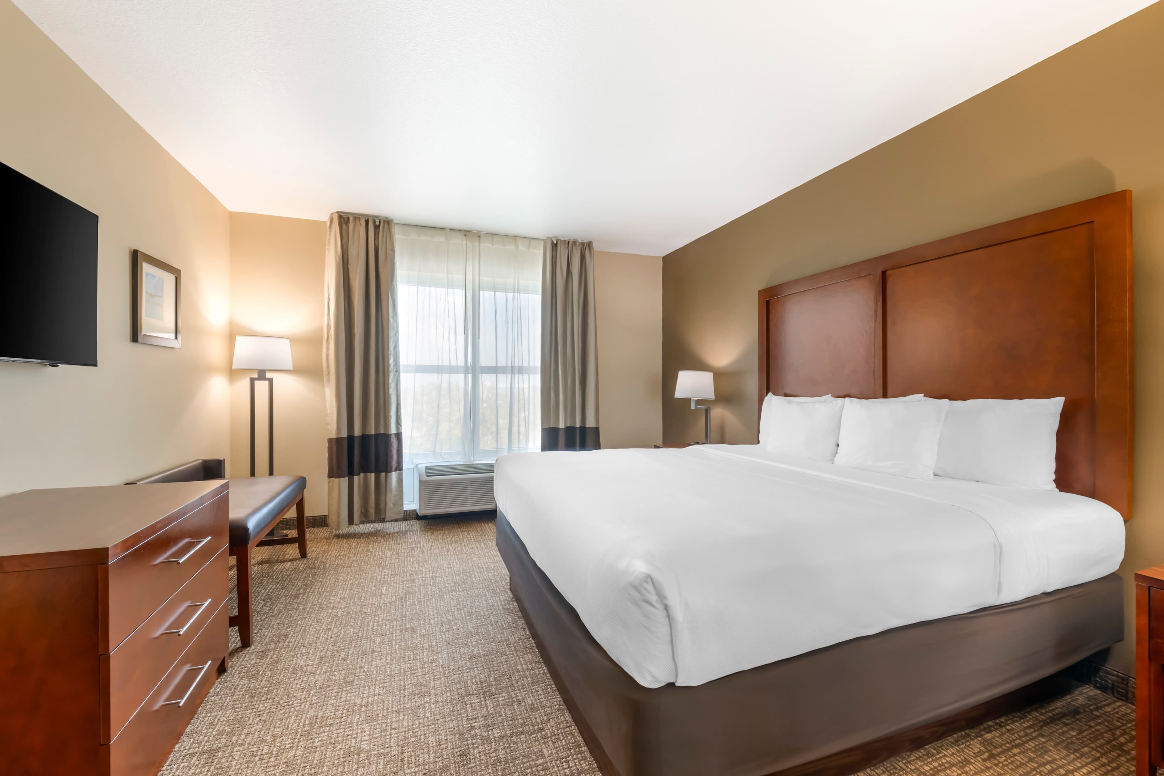 Comfort Inn & Suites Tavares North - Image 5