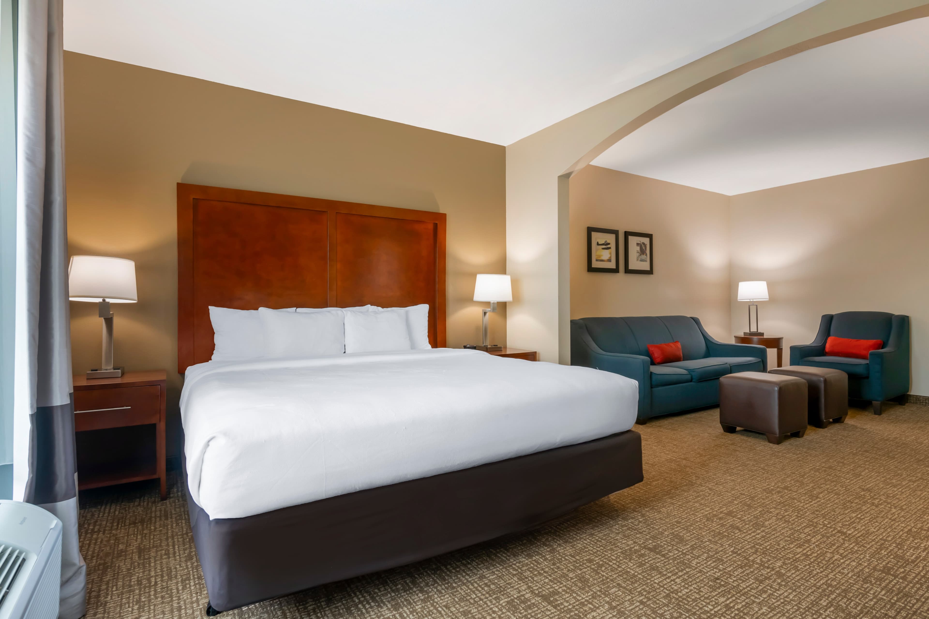 Comfort Inn & Suites Tavares North — 25